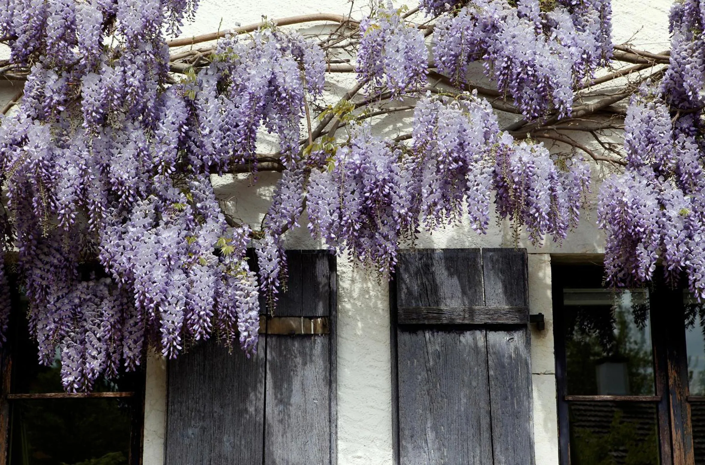 Patio in EcoHotel L’Aubier