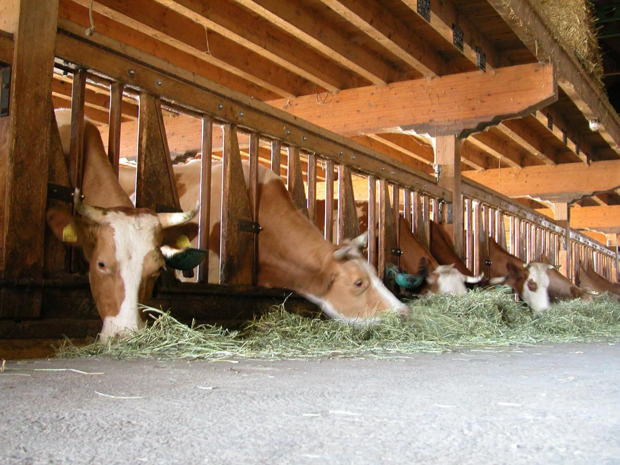 Other in EcoHotel L’Aubier