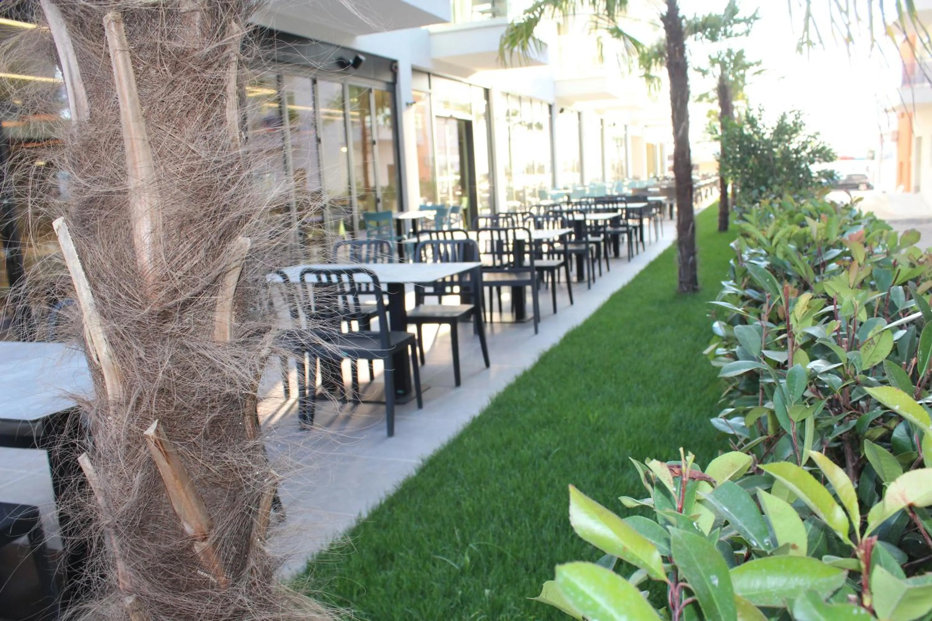 Restaurant/places to eat in Hotel Triumf Shengjin