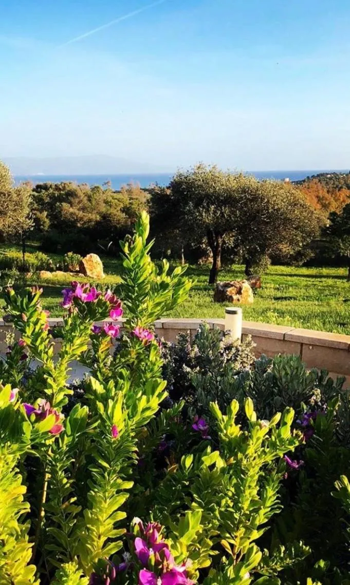 Cala Azul Residence B&B