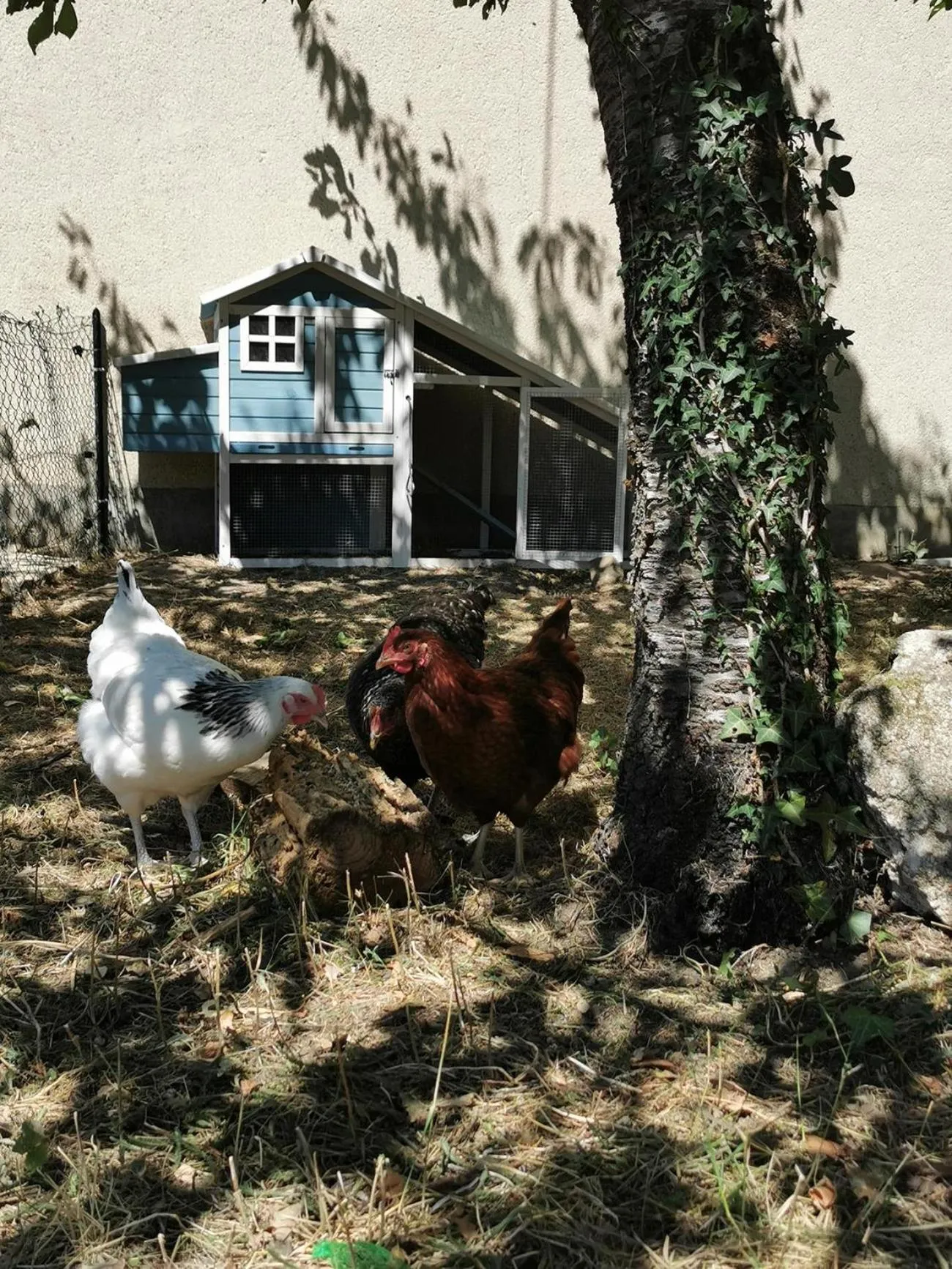 Property building in Quatre Chats sous un Pin