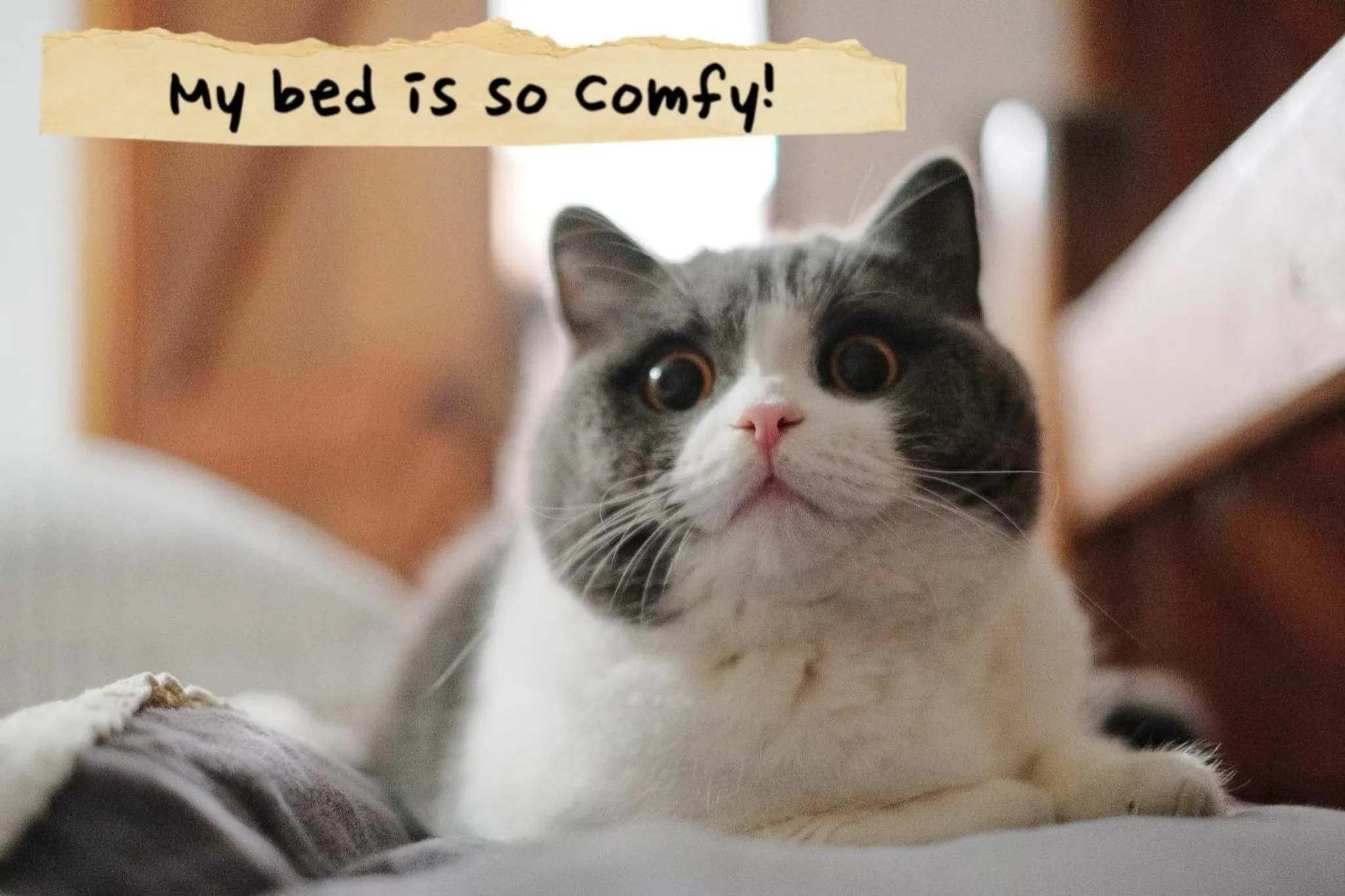 The Table Guest House