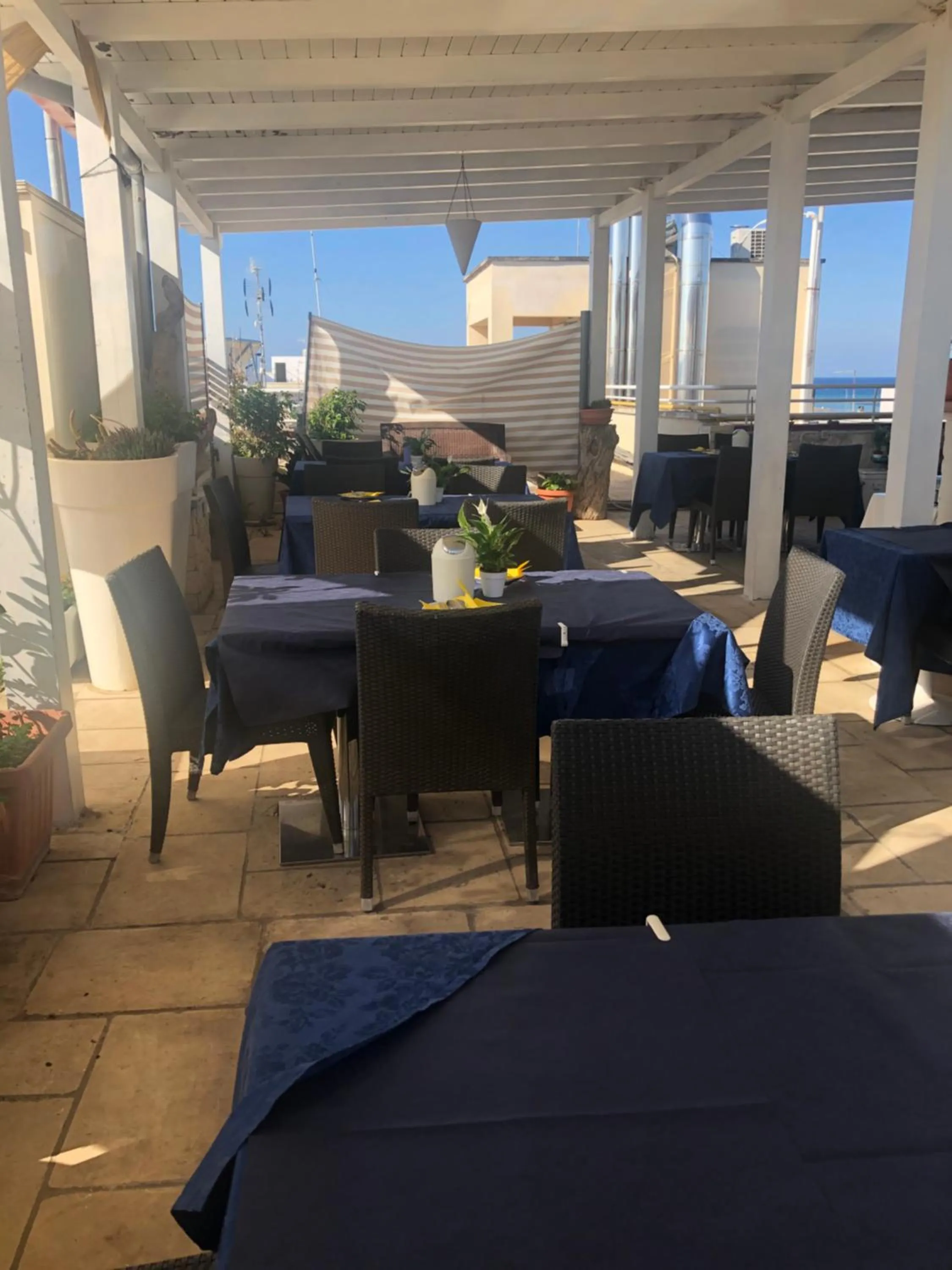 Balcony/Terrace in Albergo Piazza Risorgimento