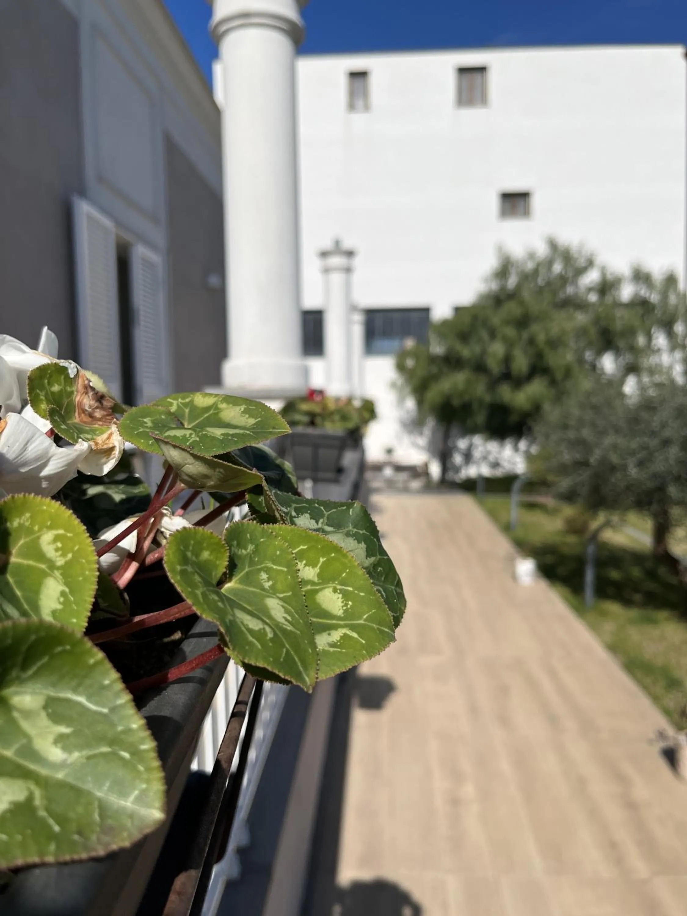 Garden in Pompei BnB Maison de Charme