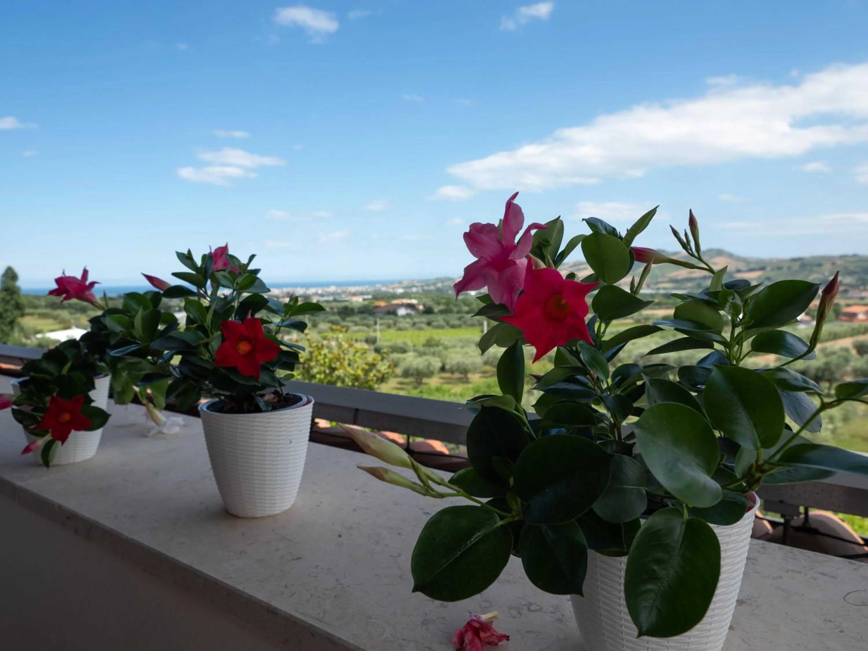 Balcony/Terrace in A casa di Sofy