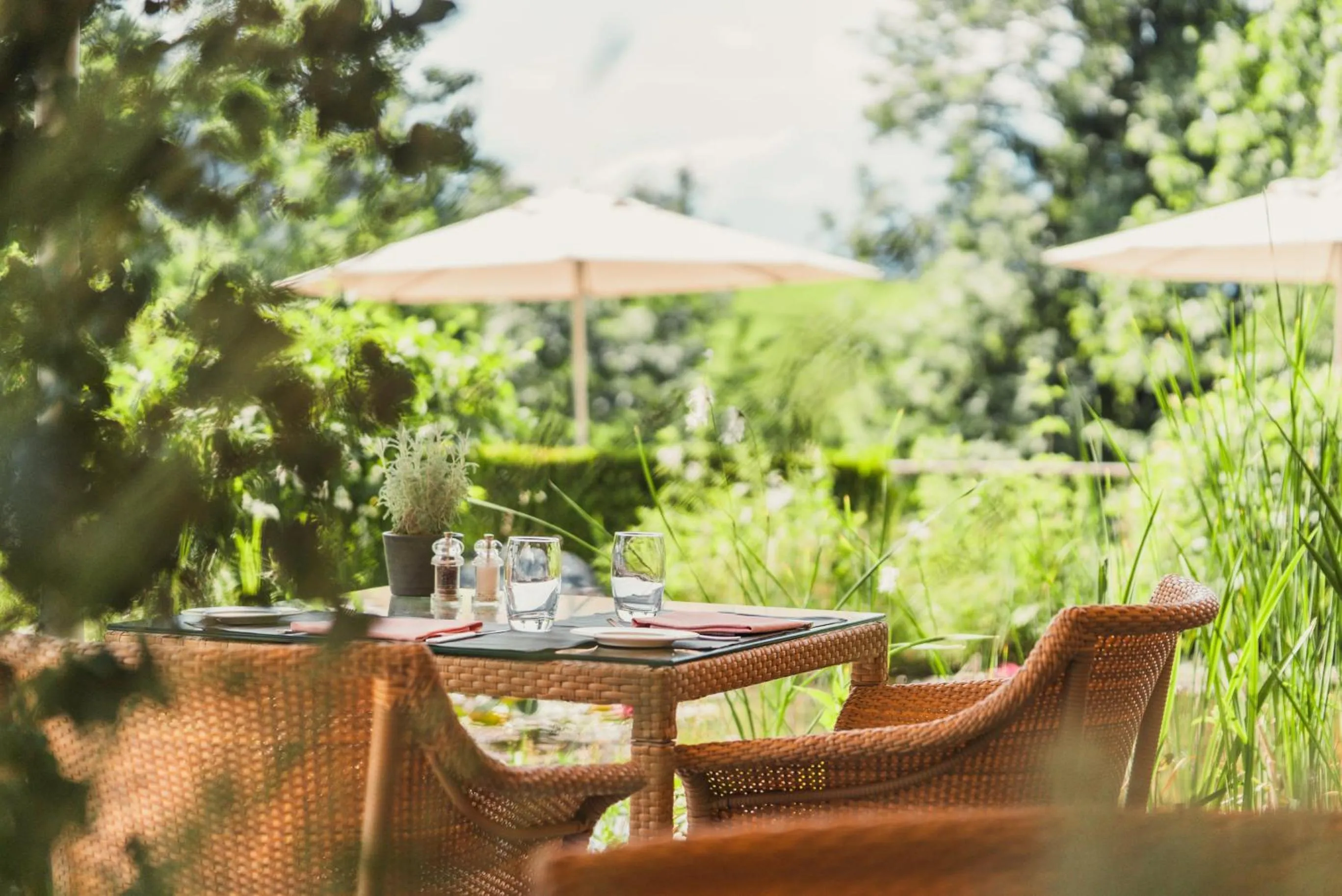 Restaurant/places to eat in ERMITAGE Wellness- & Spa-Hotel