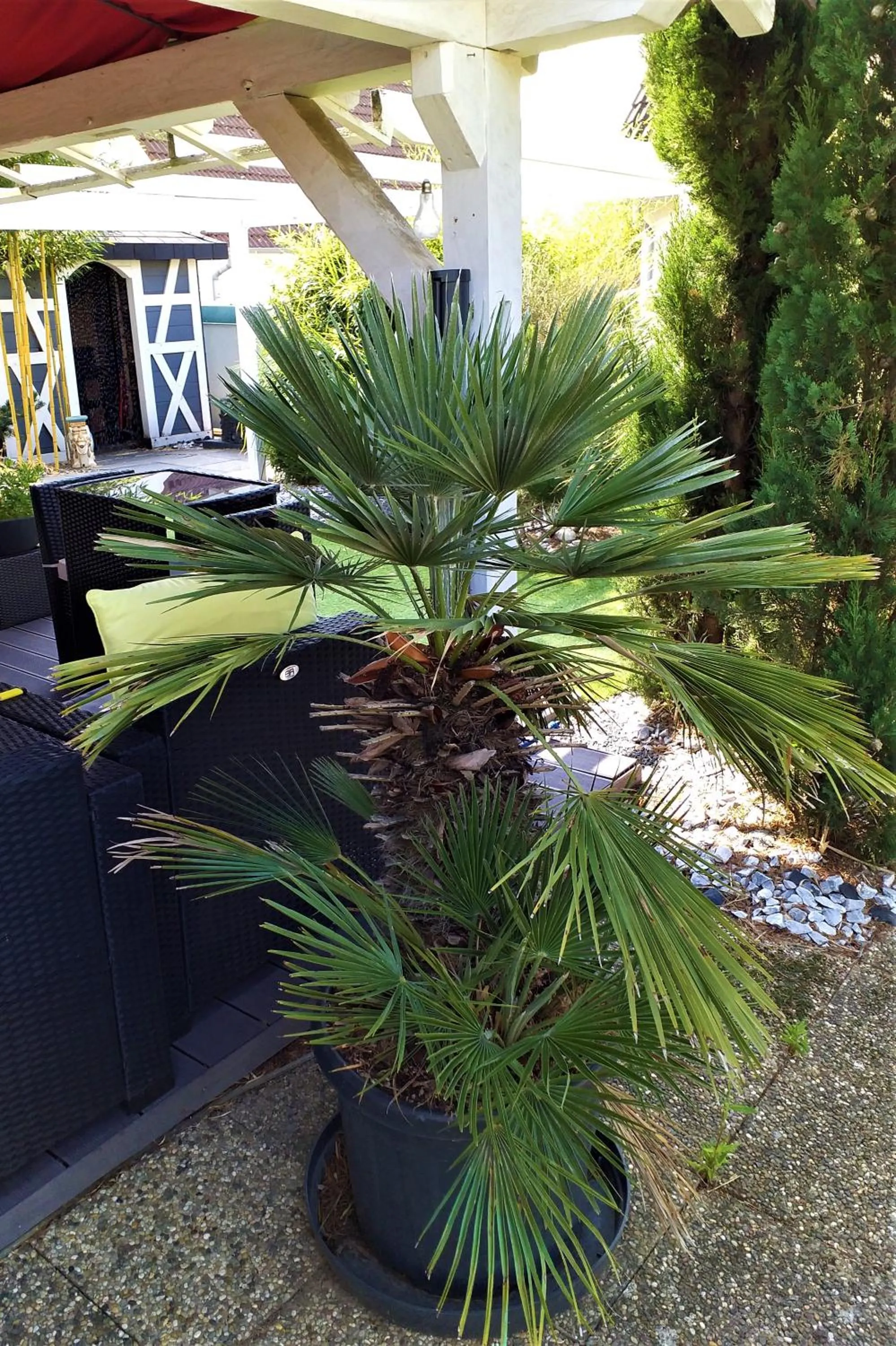 Garden view in Moderne Home original design