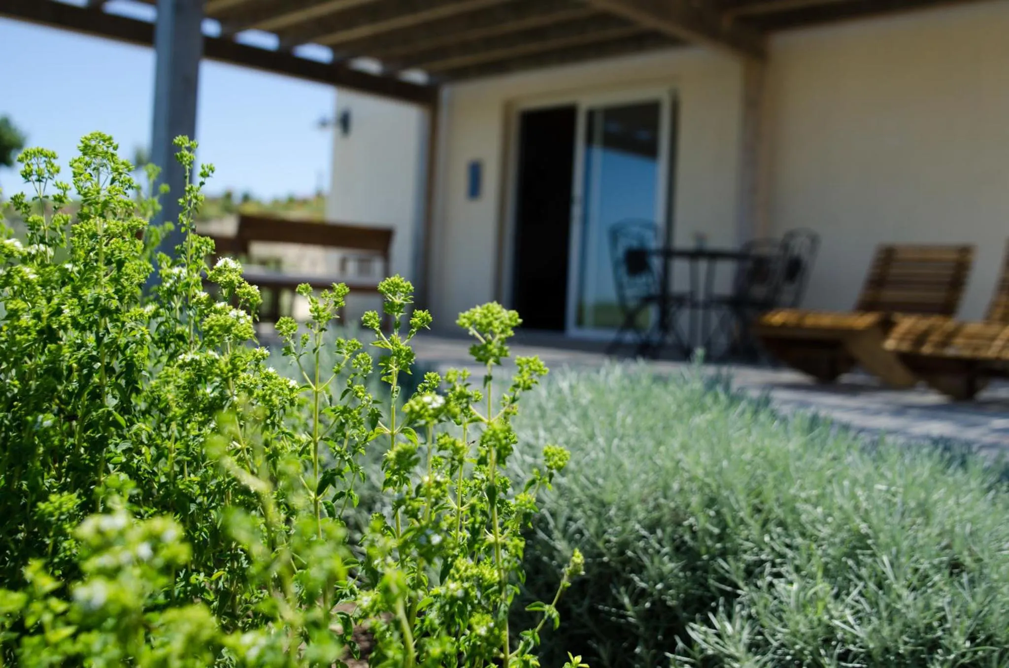 Garden in Kapuhala Sicily