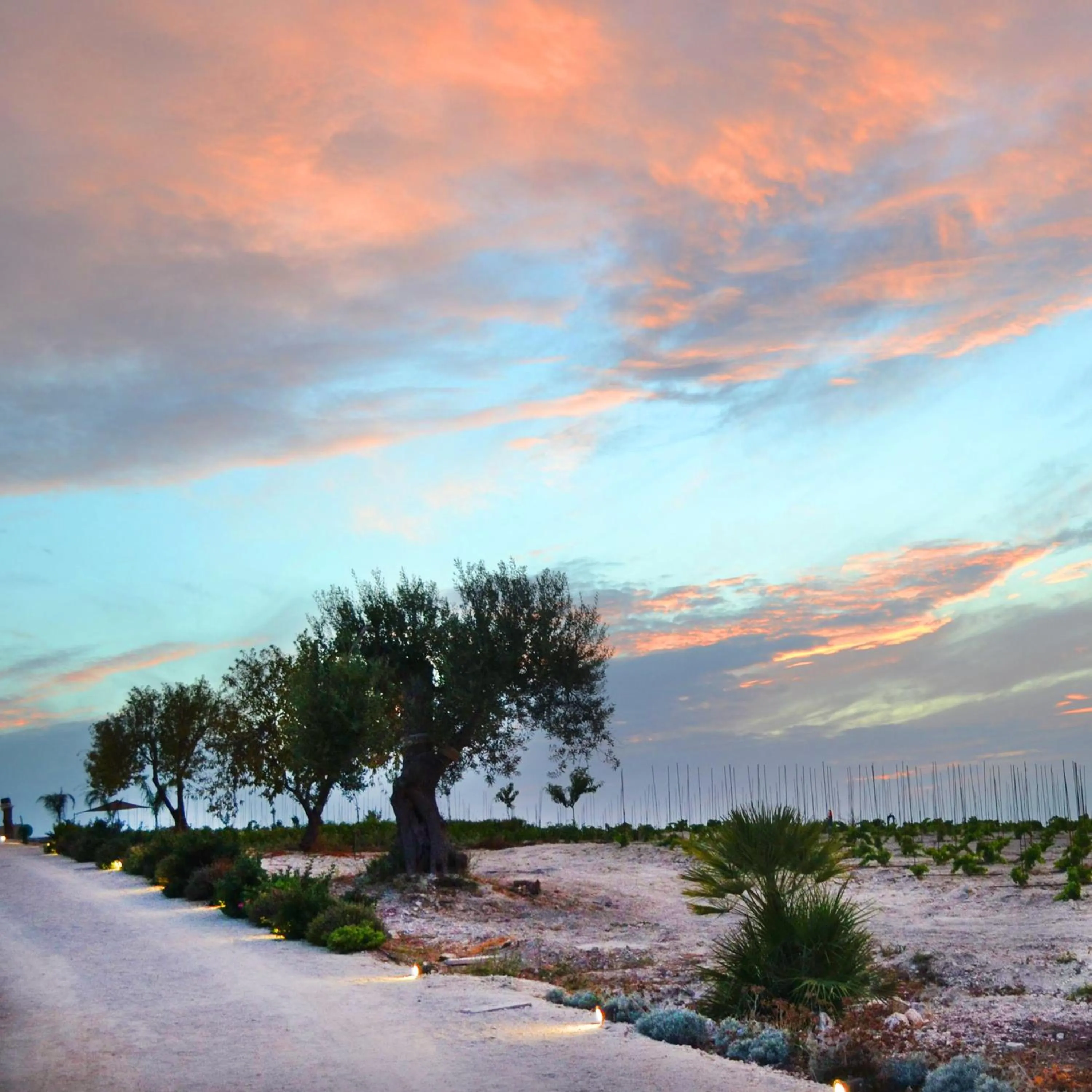 Day in Kapuhala Sicily