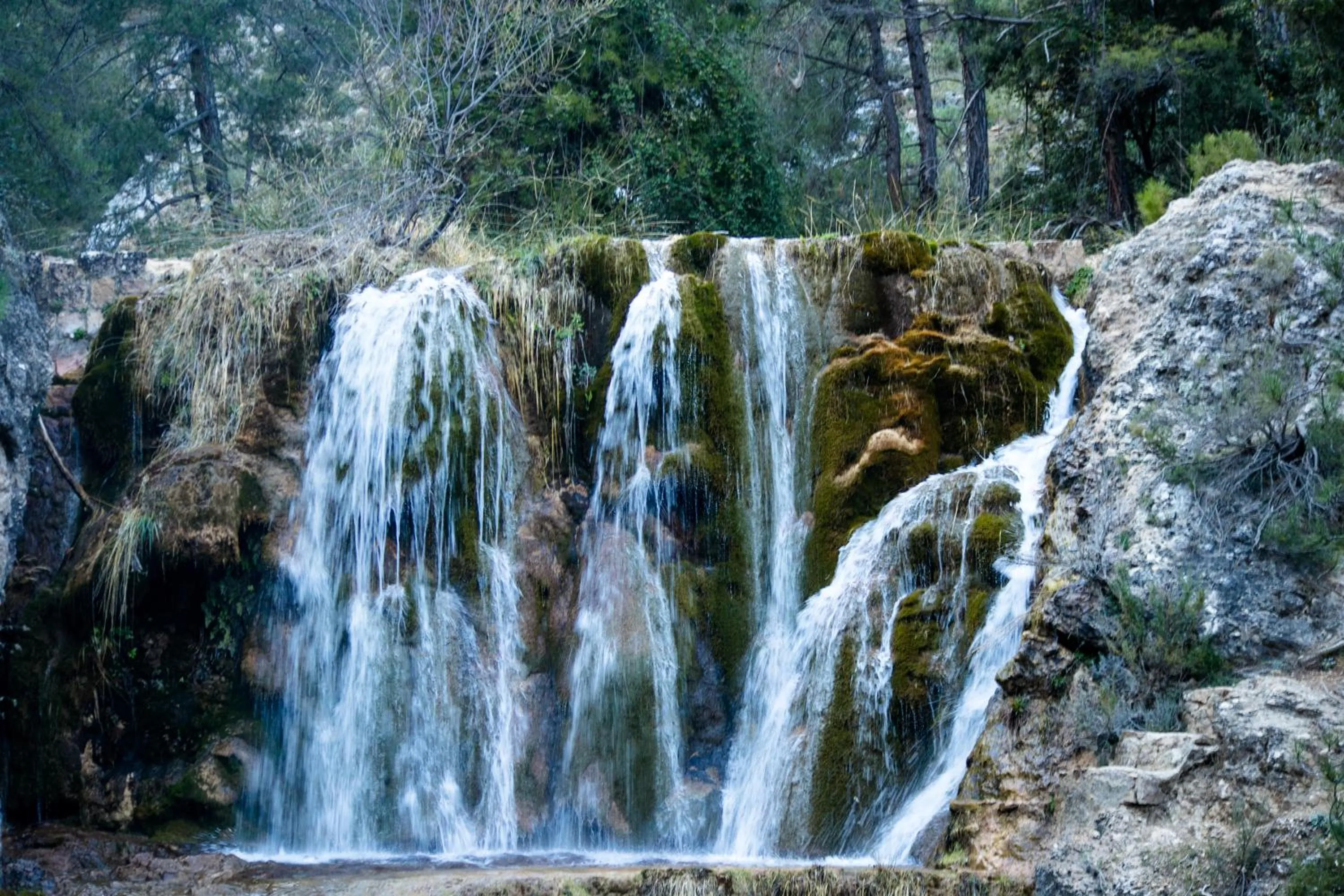 Natural landscape in Casa Rural Las Nueces