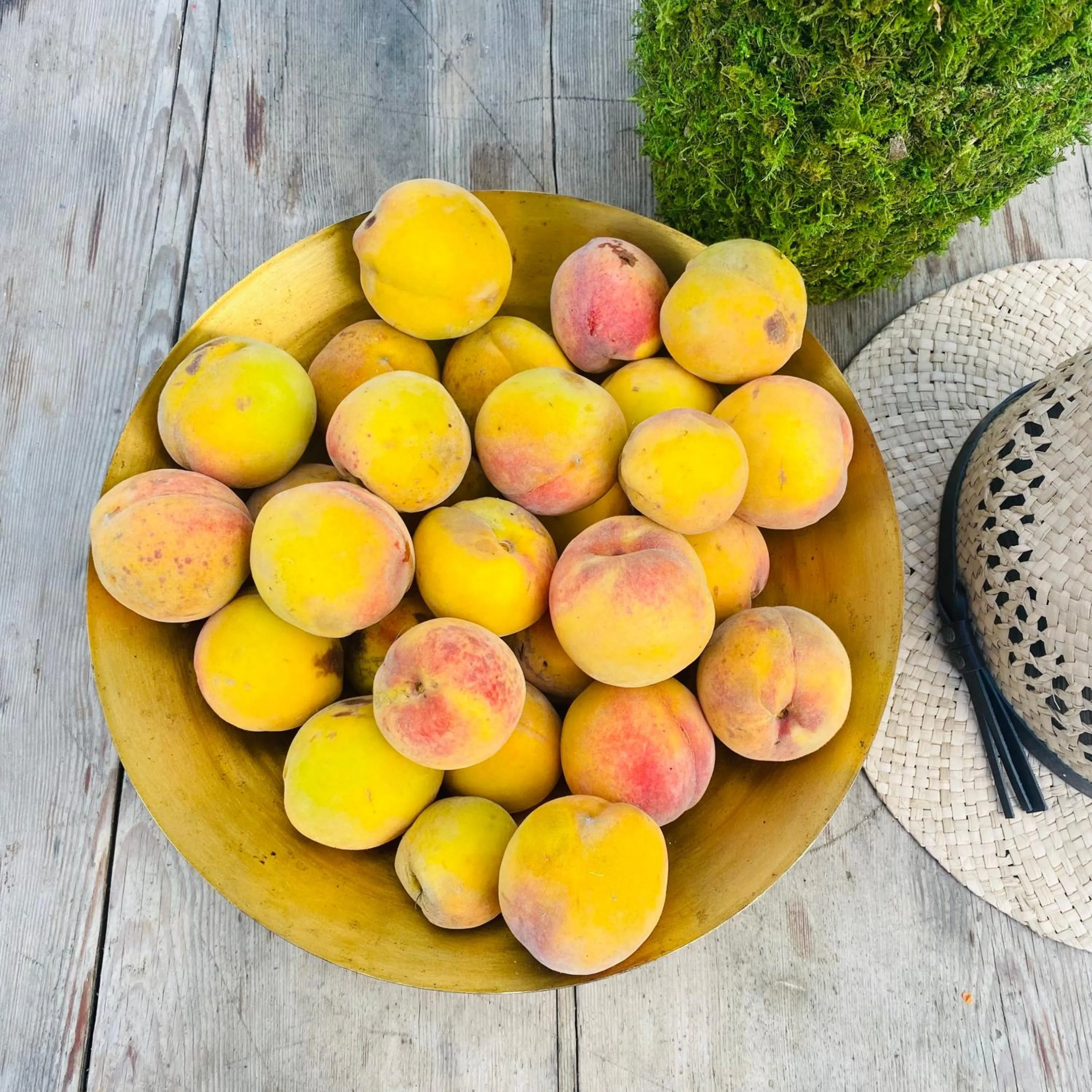 L'écrin de verdure GITE VERVEINE