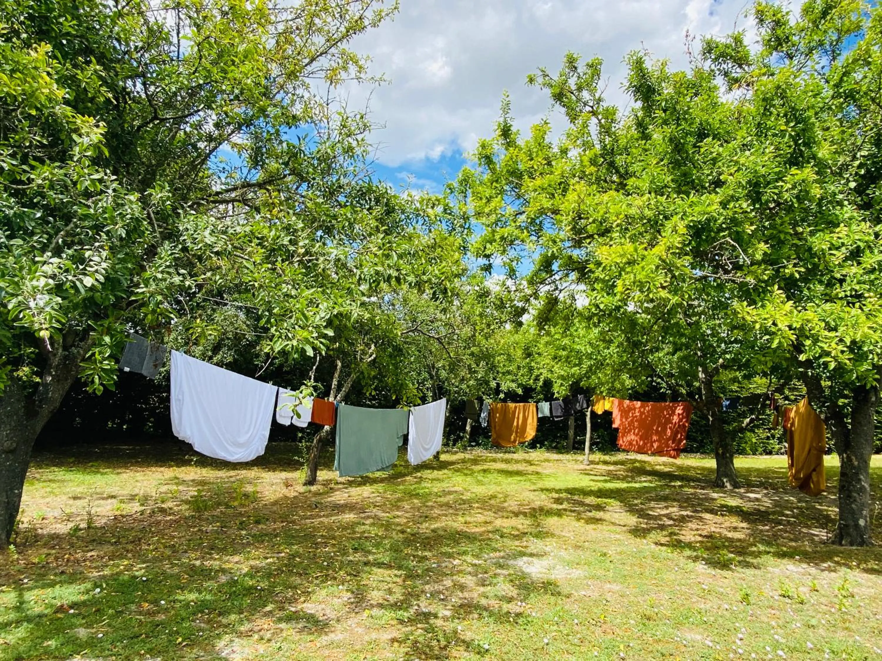 Garden in L'écrin de verdure GITE VERVEINE