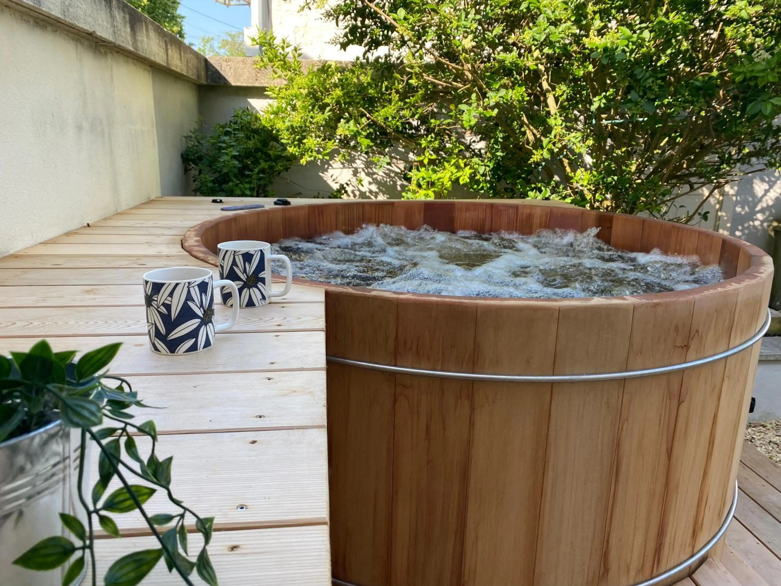 L'écrin de verdure GITE VERVEINE