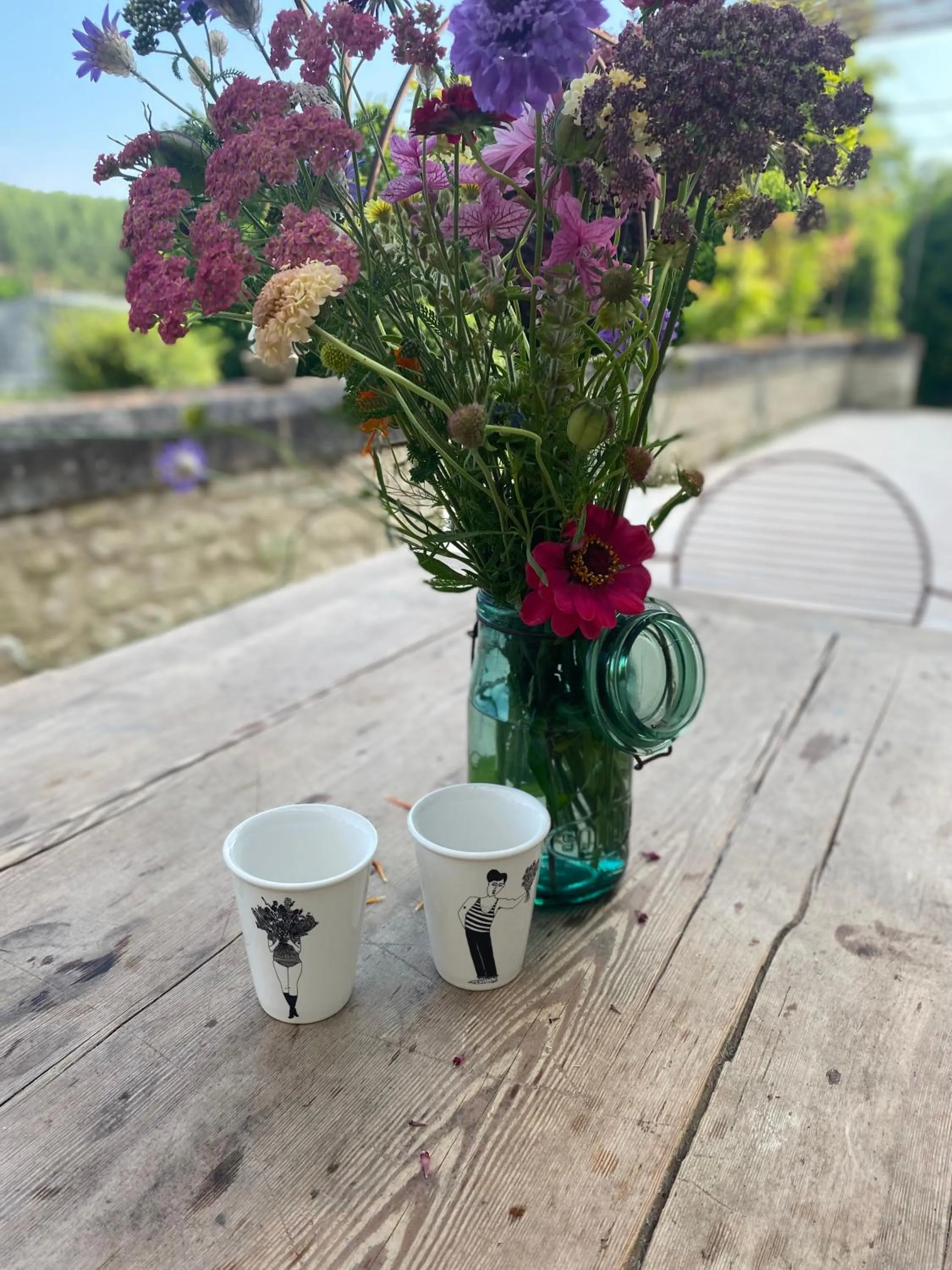 L'écrin de verdure GITE VERVEINE