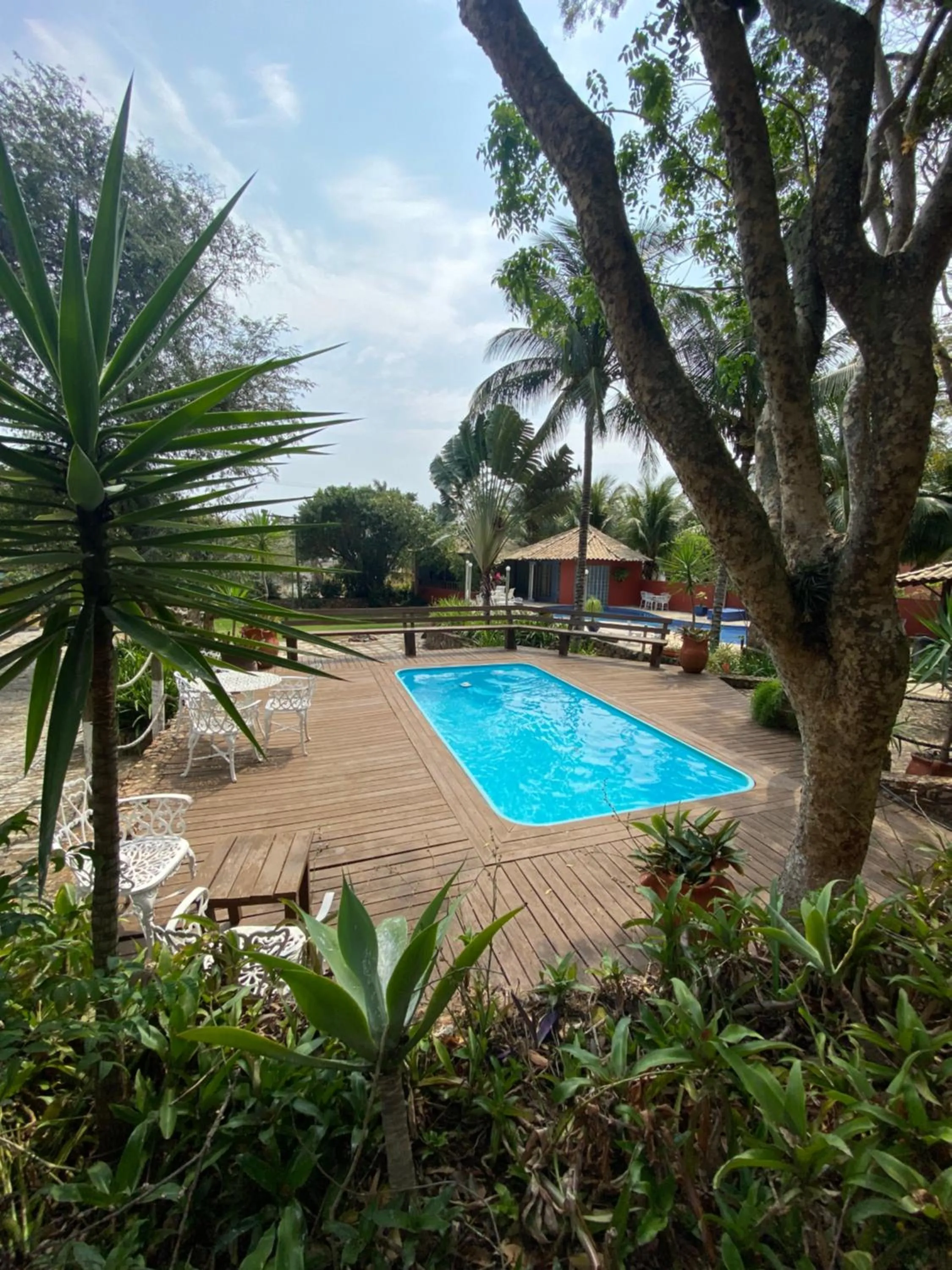 Garden in Hotel Cave do Sol