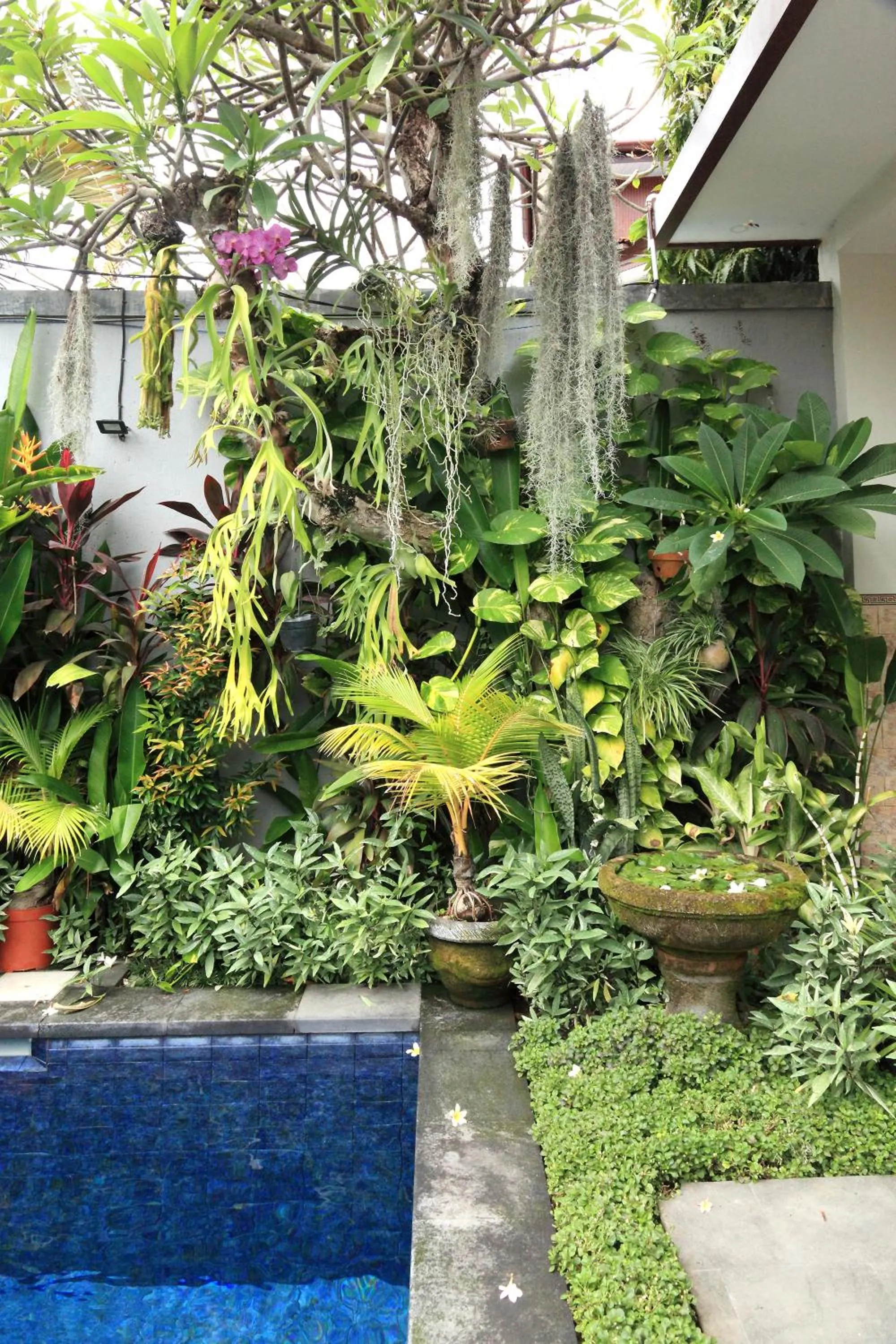 Day in Cening Ayu Sanur