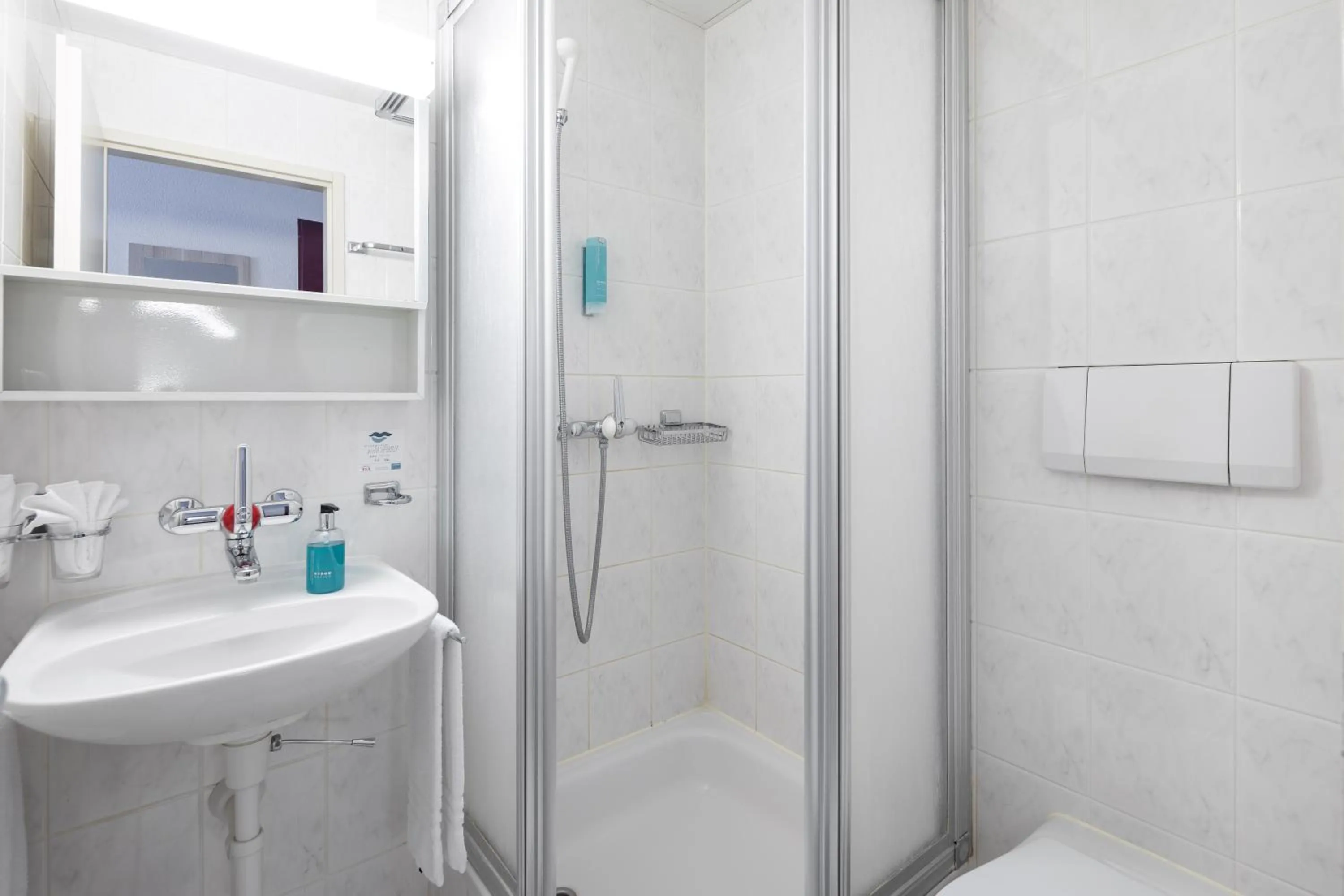 Bathroom in Hotel Lötschberg