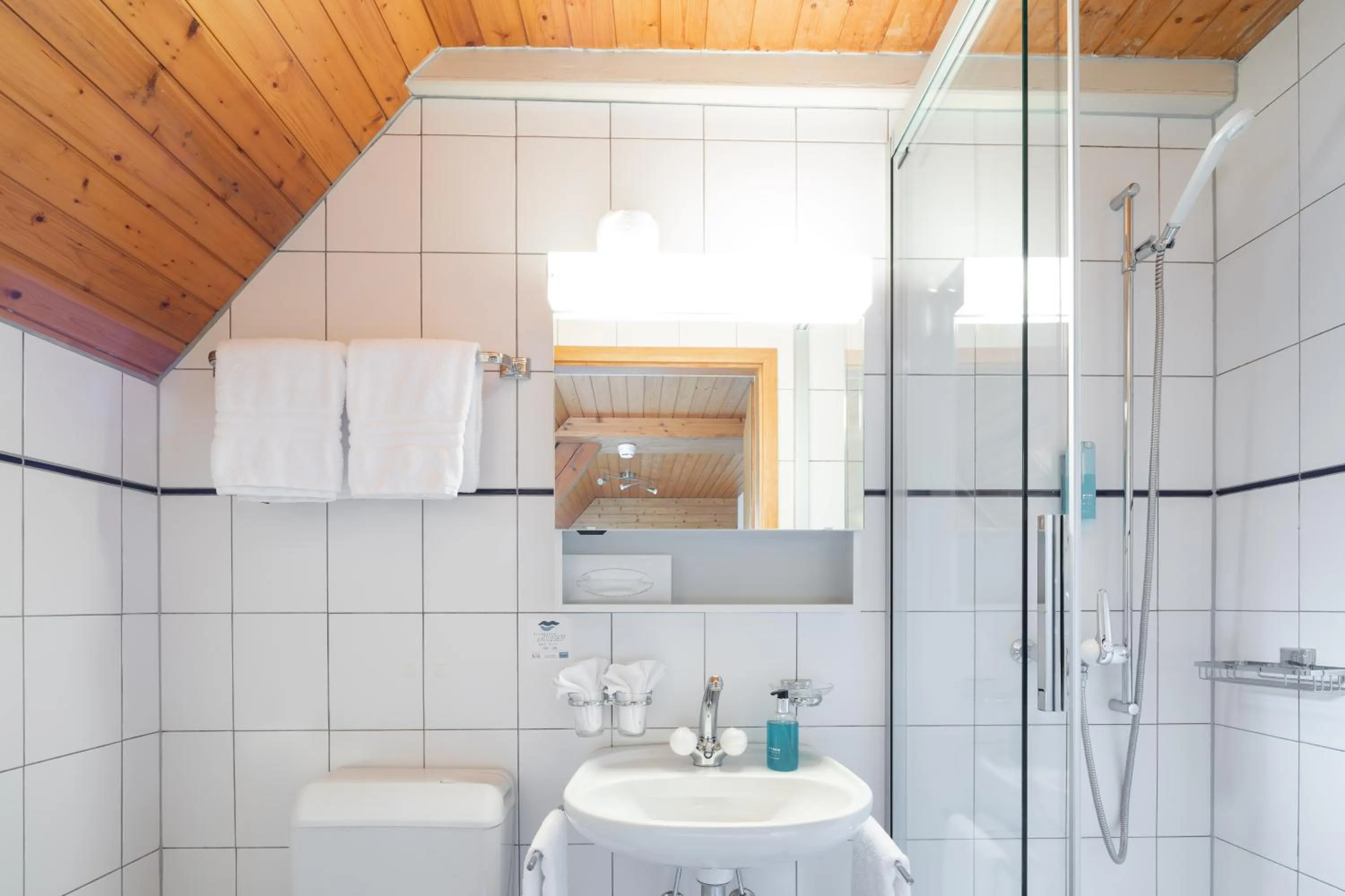 Bathroom in Hotel Lötschberg