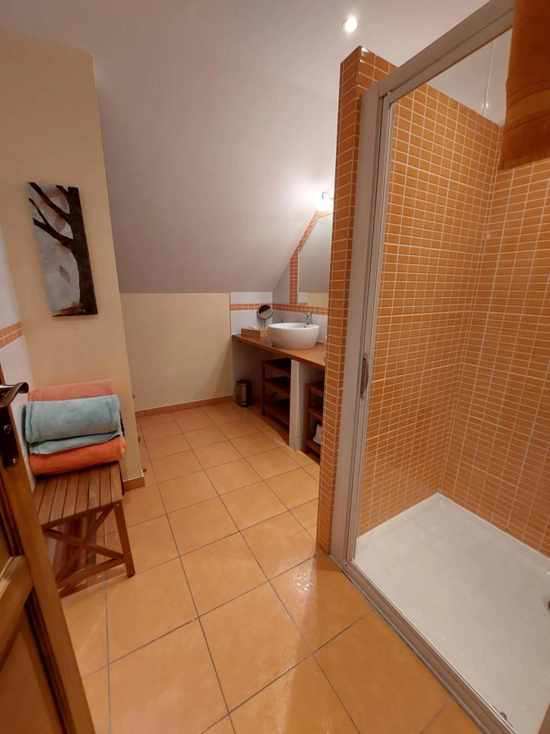 Shower in Traînefeuilles - Chambres d'hôtes proche Zoo de Beauval