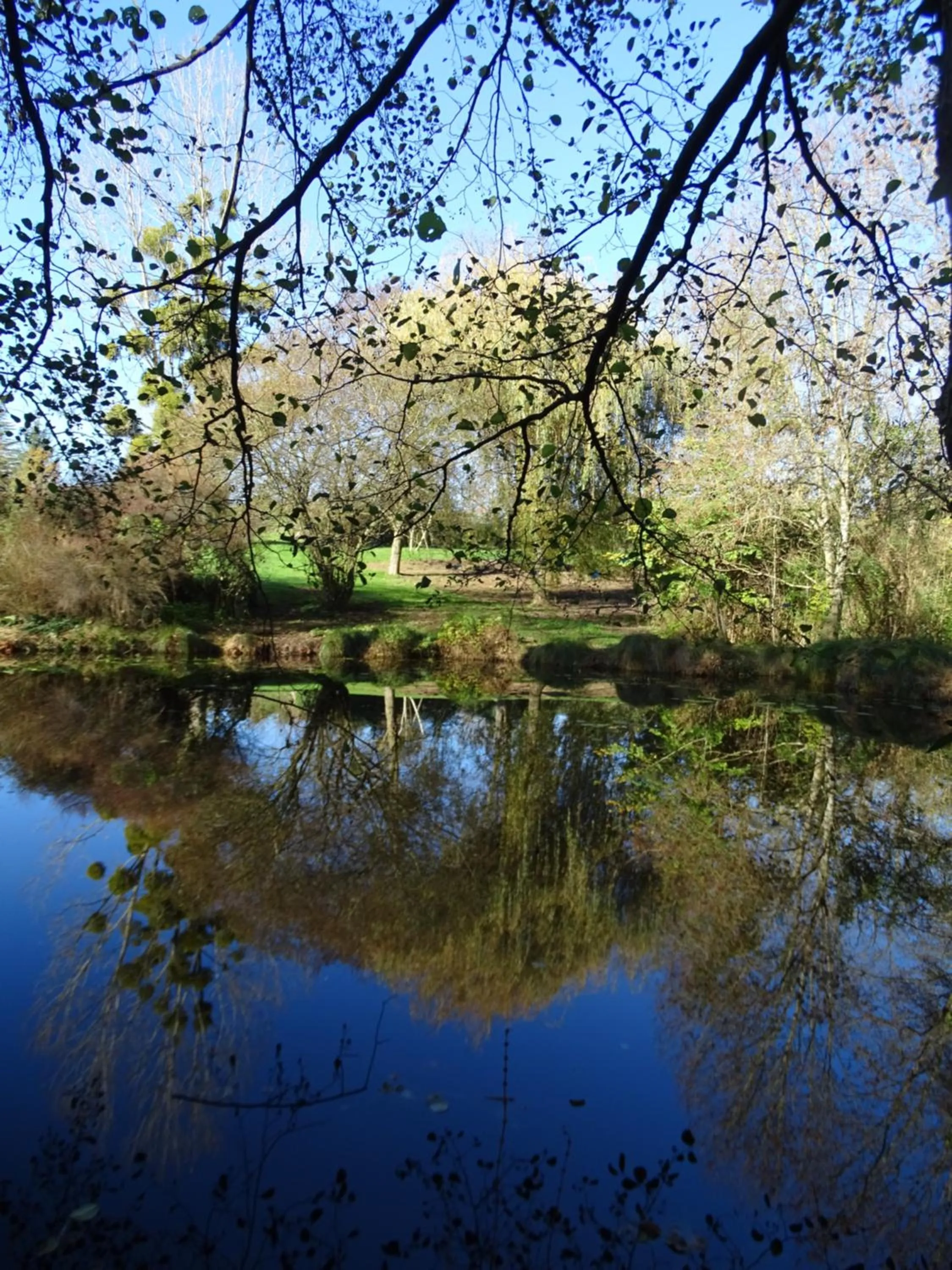 Garden in Traînefeuilles - Chambres d'hôtes proche Zoo de Beauval