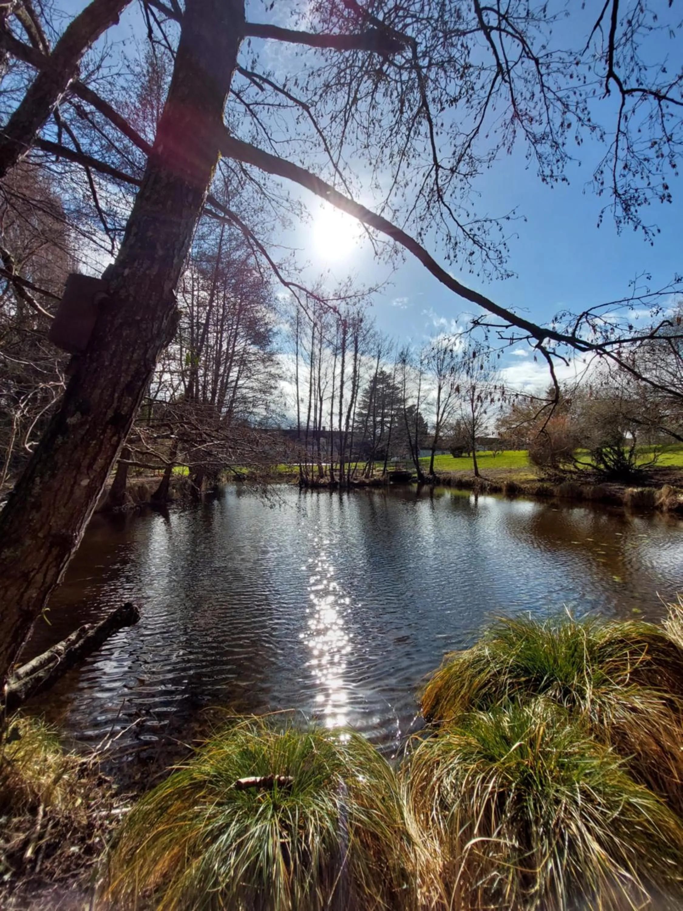 Garden in Traînefeuilles - Chambres d'hôtes proche Zoo de Beauval
