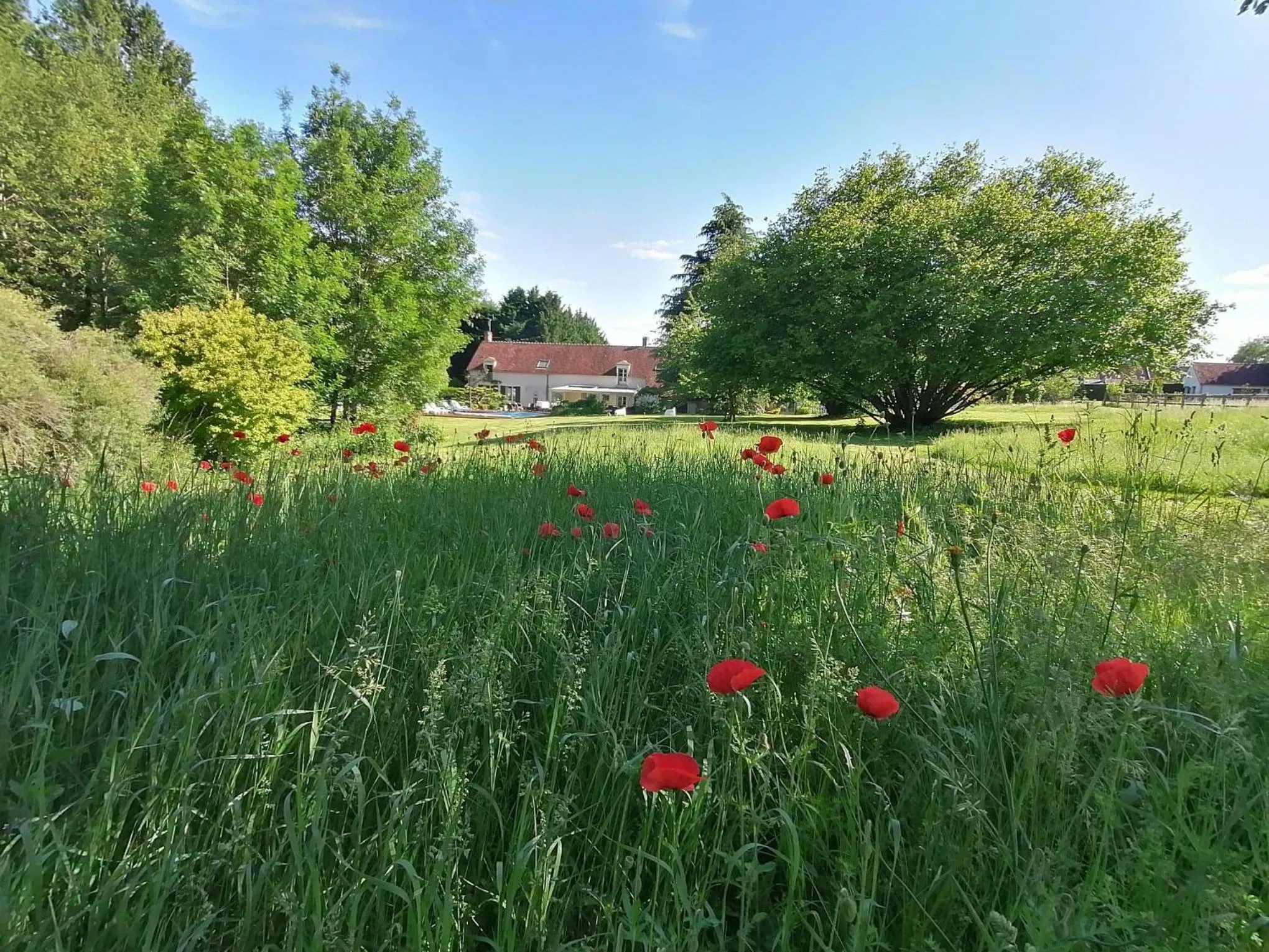 Natural landscape in Traînefeuilles - Chambres d'hôtes proche Zoo de Beauval