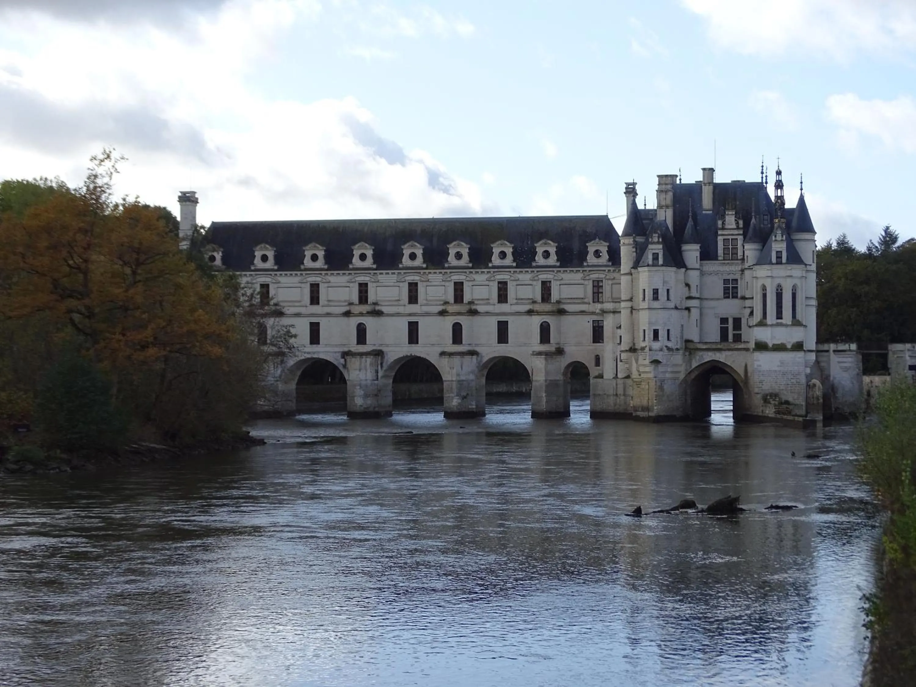 Off site in Traînefeuilles - Chambres d'hôtes proche Zoo de Beauval