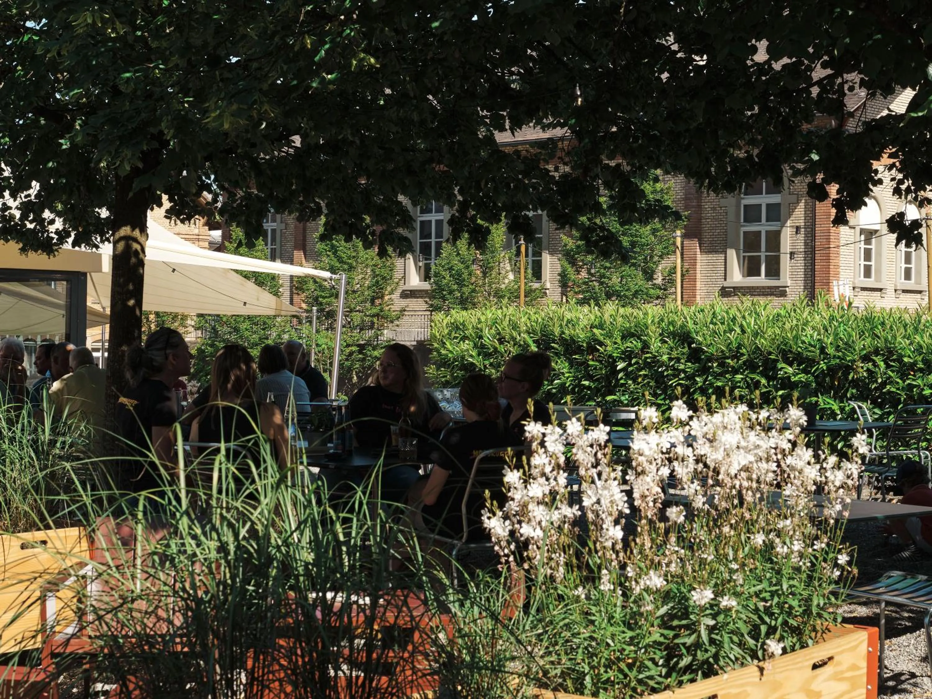 Spring in Hotel Murten