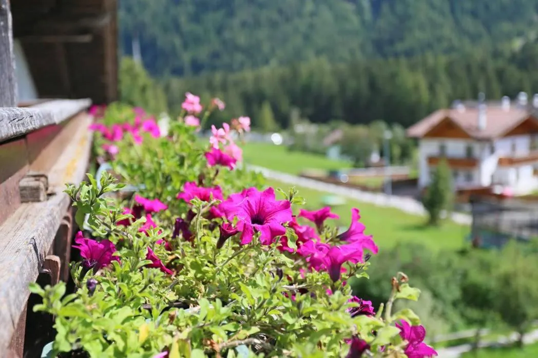 Gasthof Albergo Neuwirt