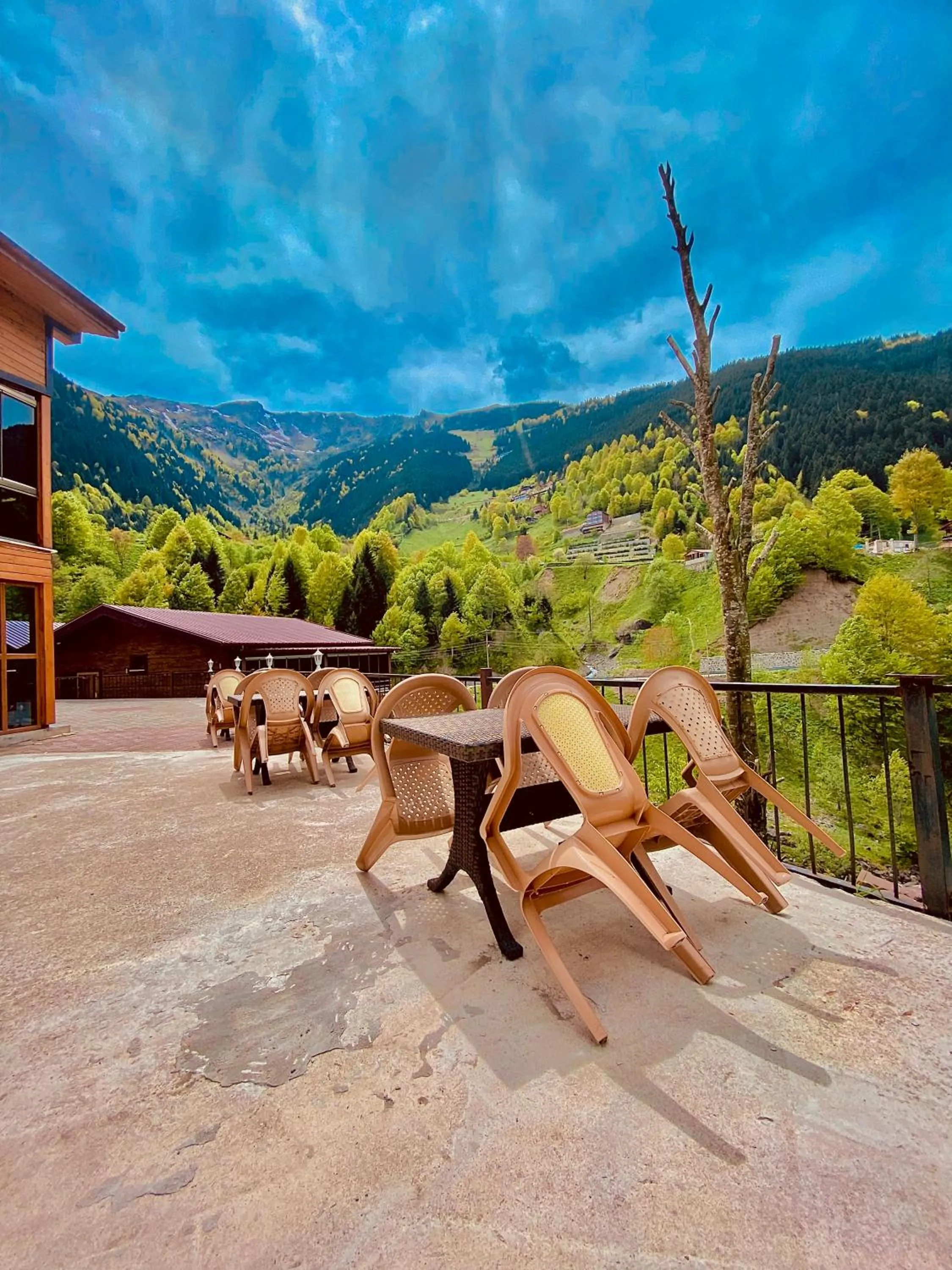 Garden in Konak Grand Apart