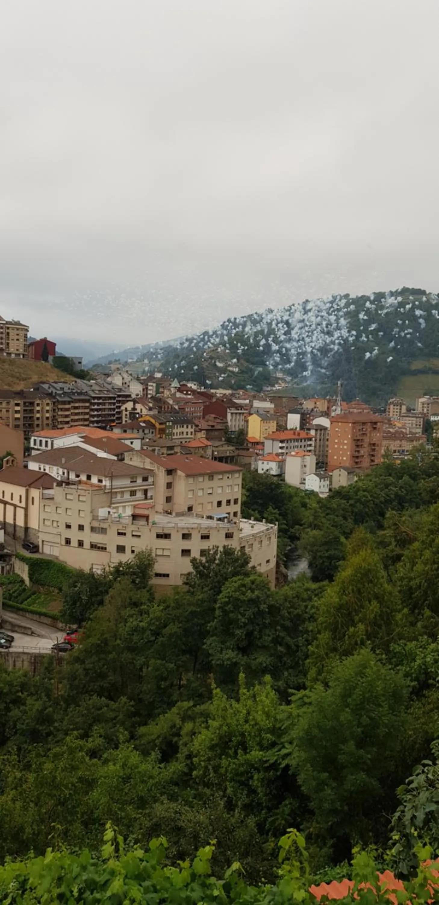Natural landscape in Hotel Alina