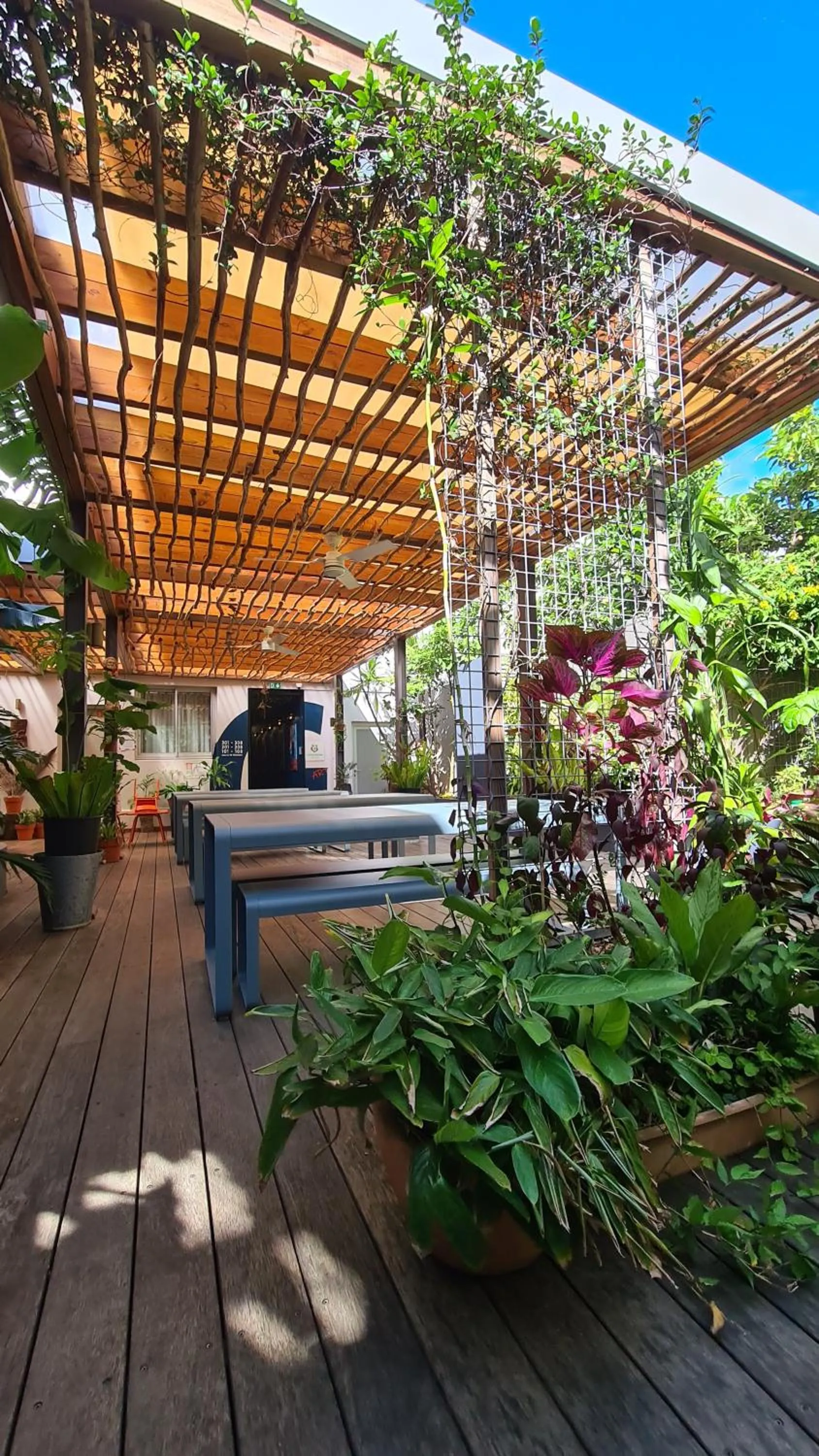 Patio in Gondwana City Art