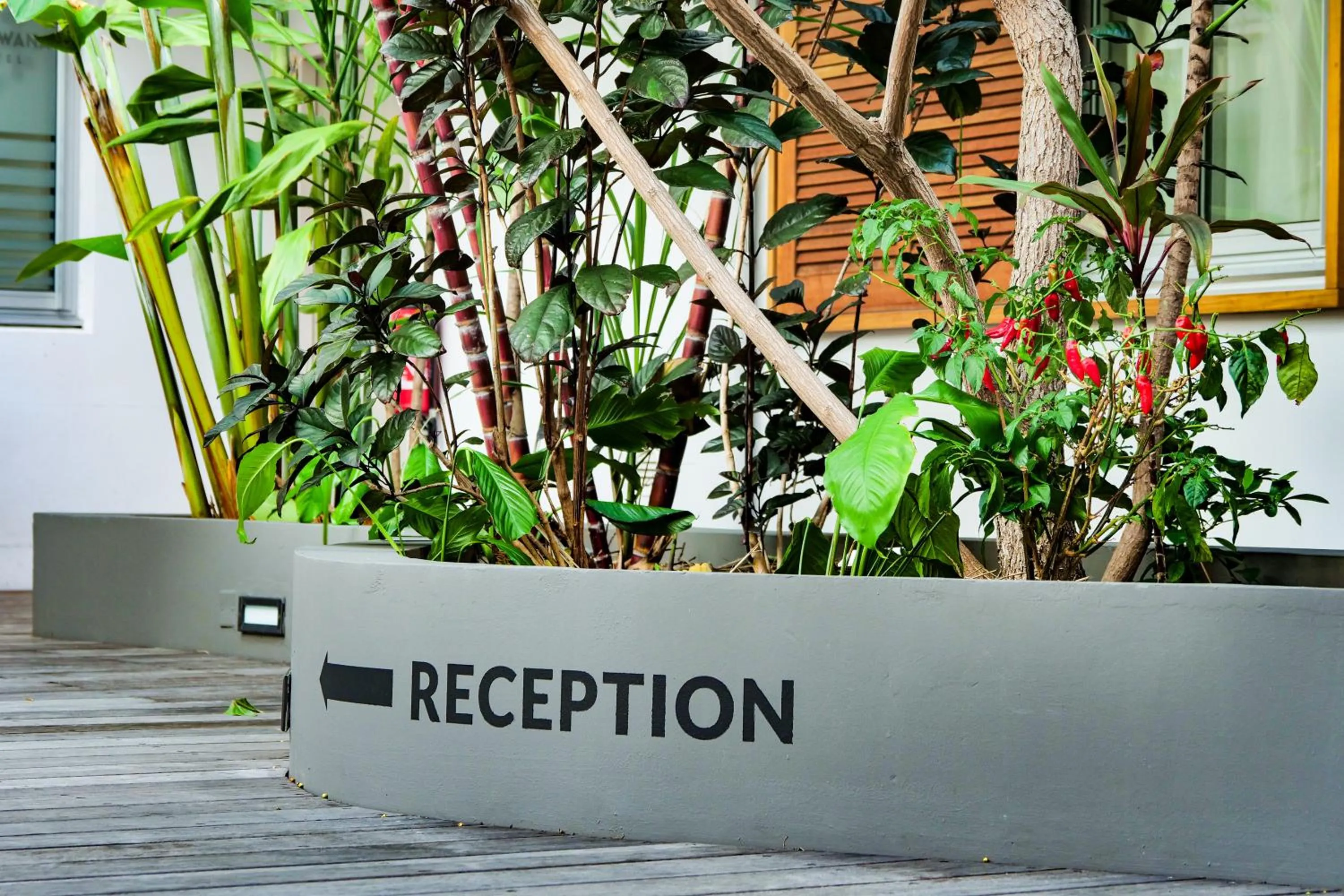 Logo/Certificate/Sign in Gondwana City Art