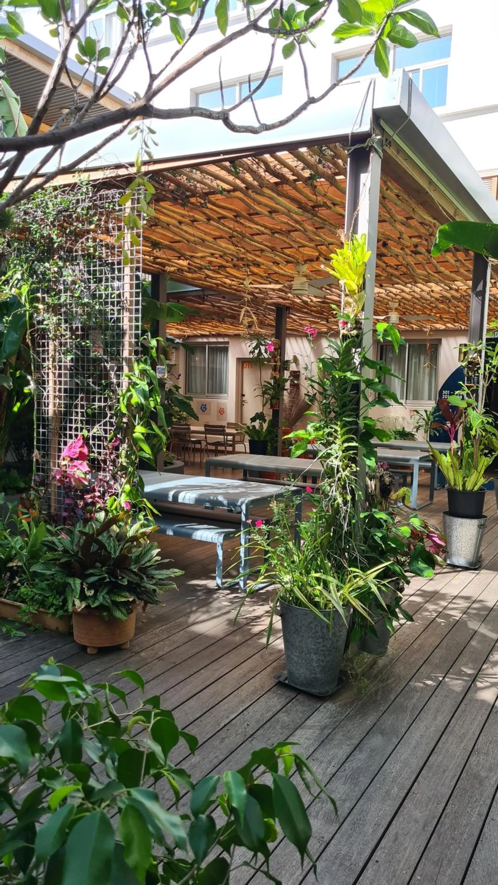 Patio in Gondwana City Art