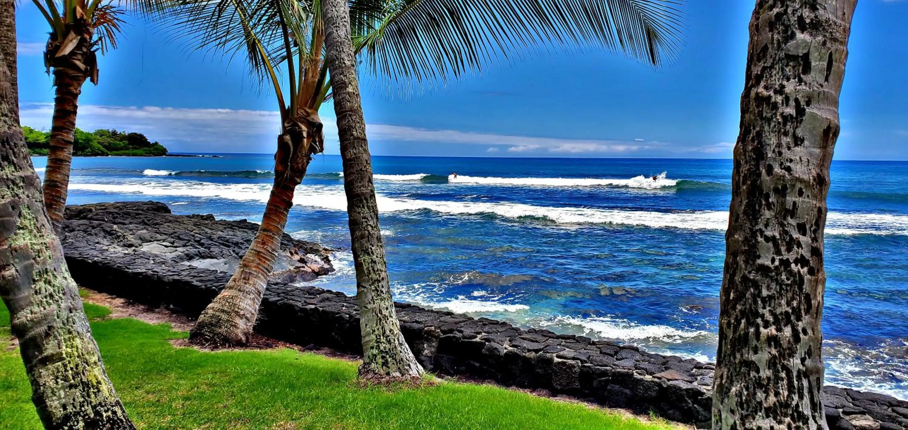 Ali'i Banyan Breeze