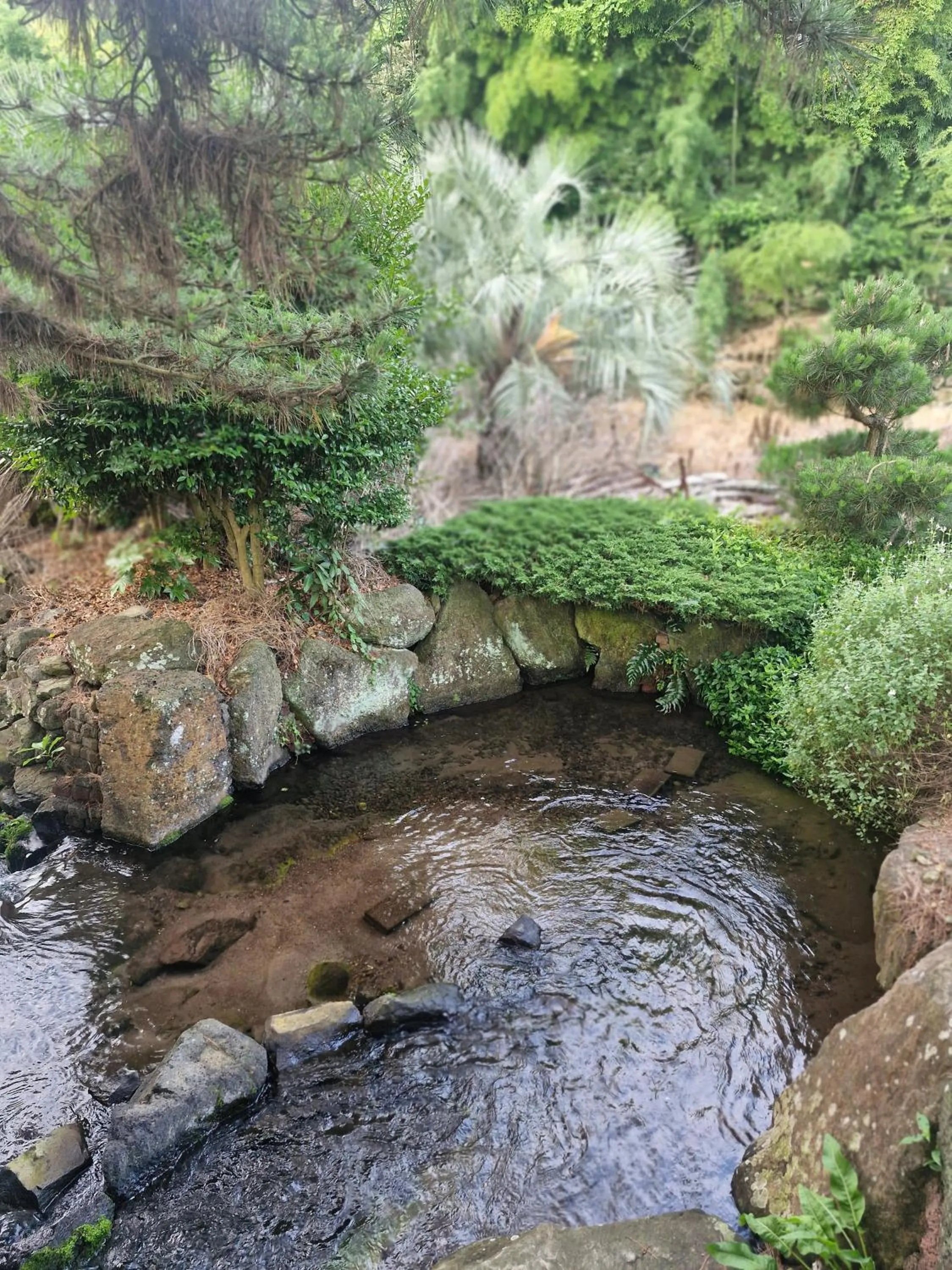 Natural landscape in Cornerstone Hotel