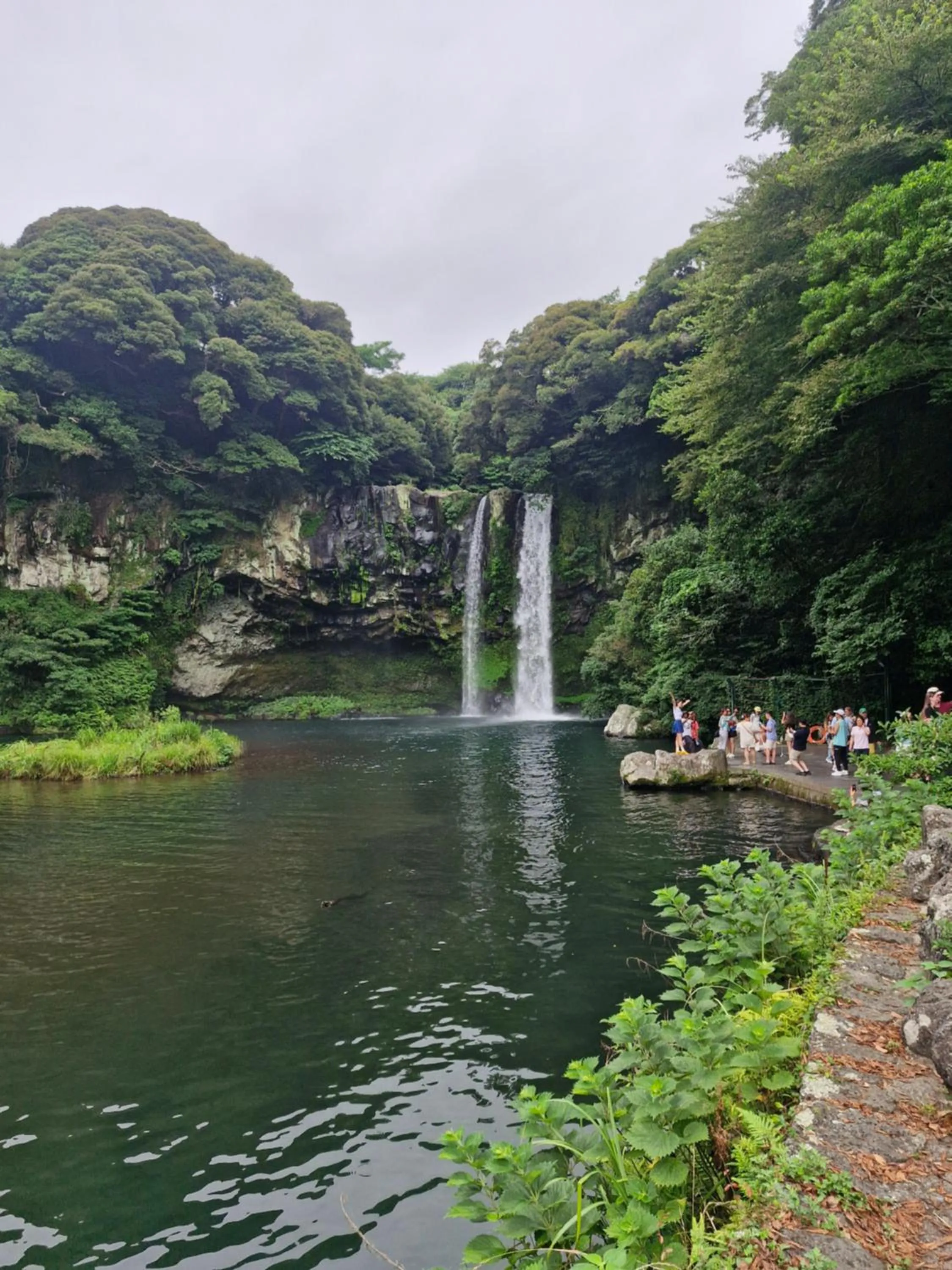 Natural landscape in Cornerstone Hotel