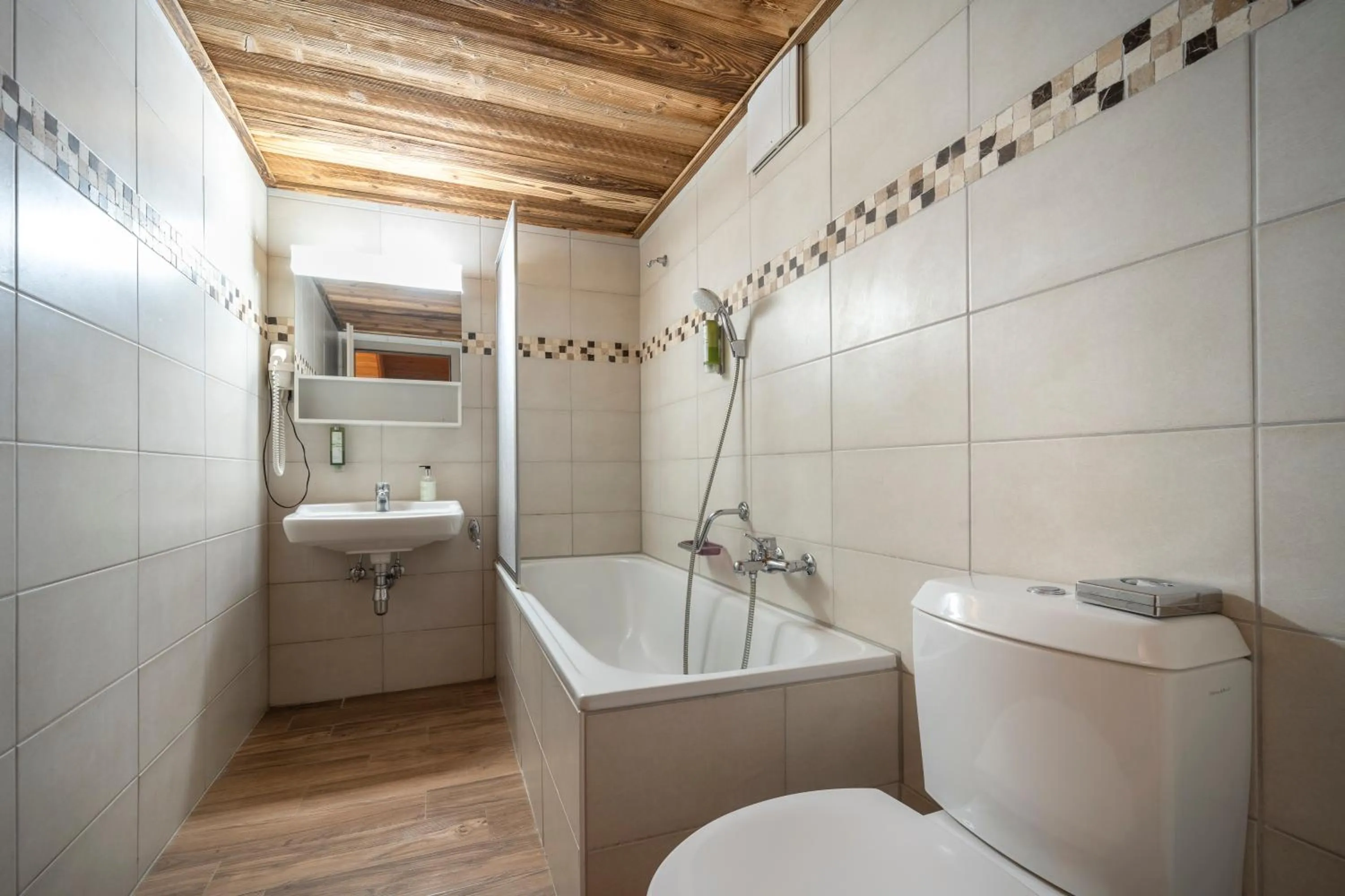 Toilet in Hôtel Le Grand Chalet