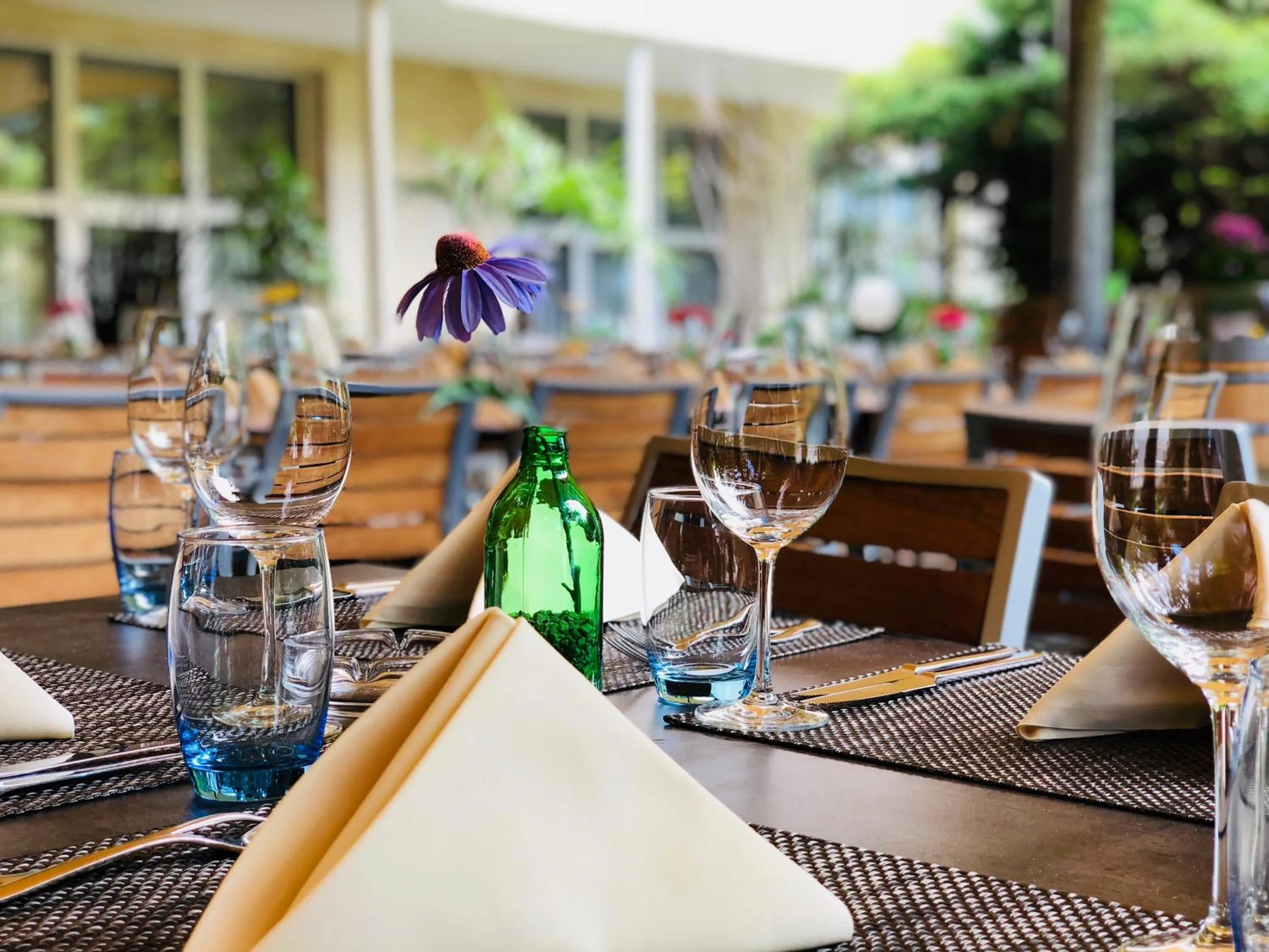 Restaurant/places to eat in Hotel Felmis