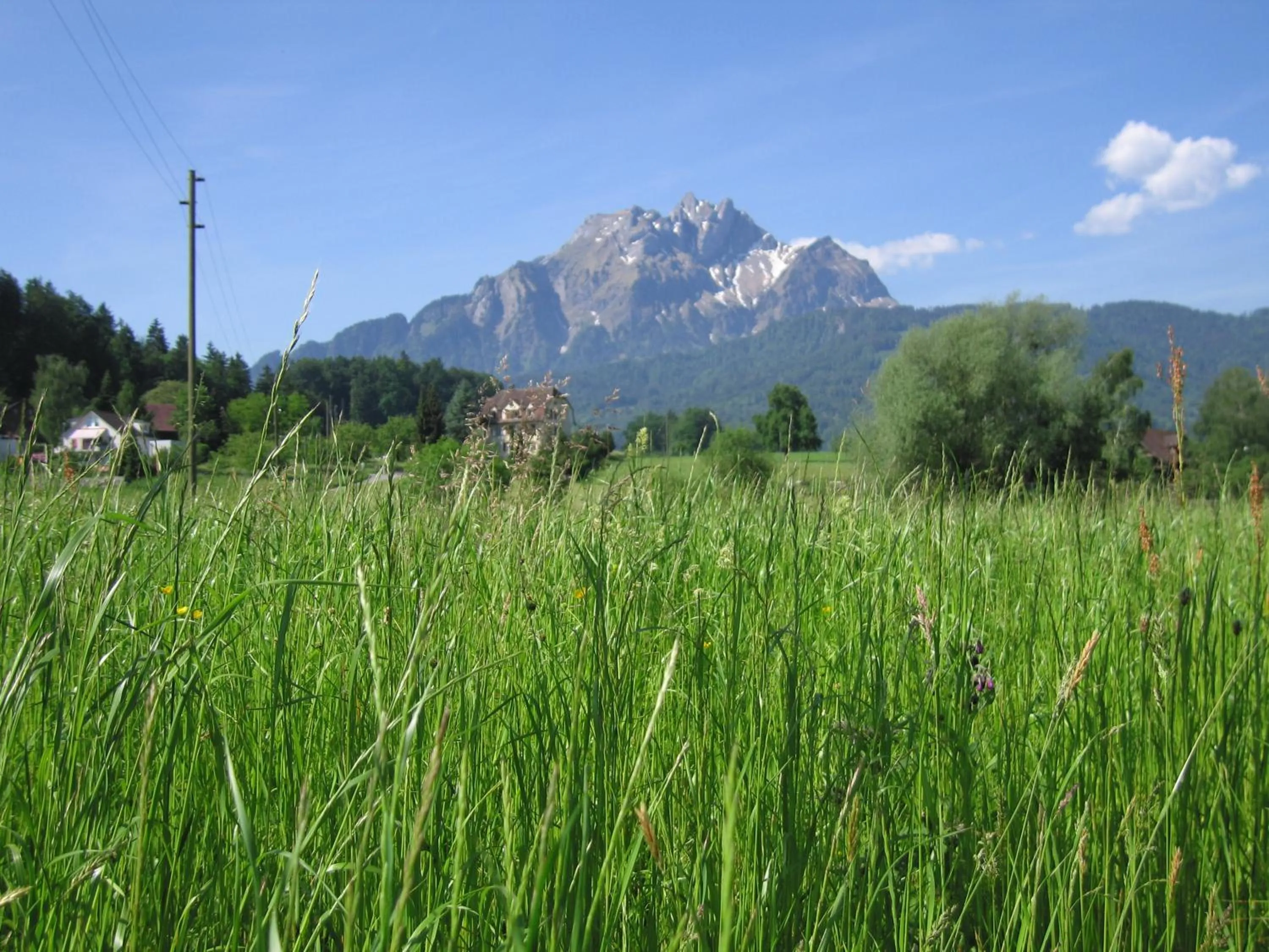 Area and facilities in Hotel Felmis