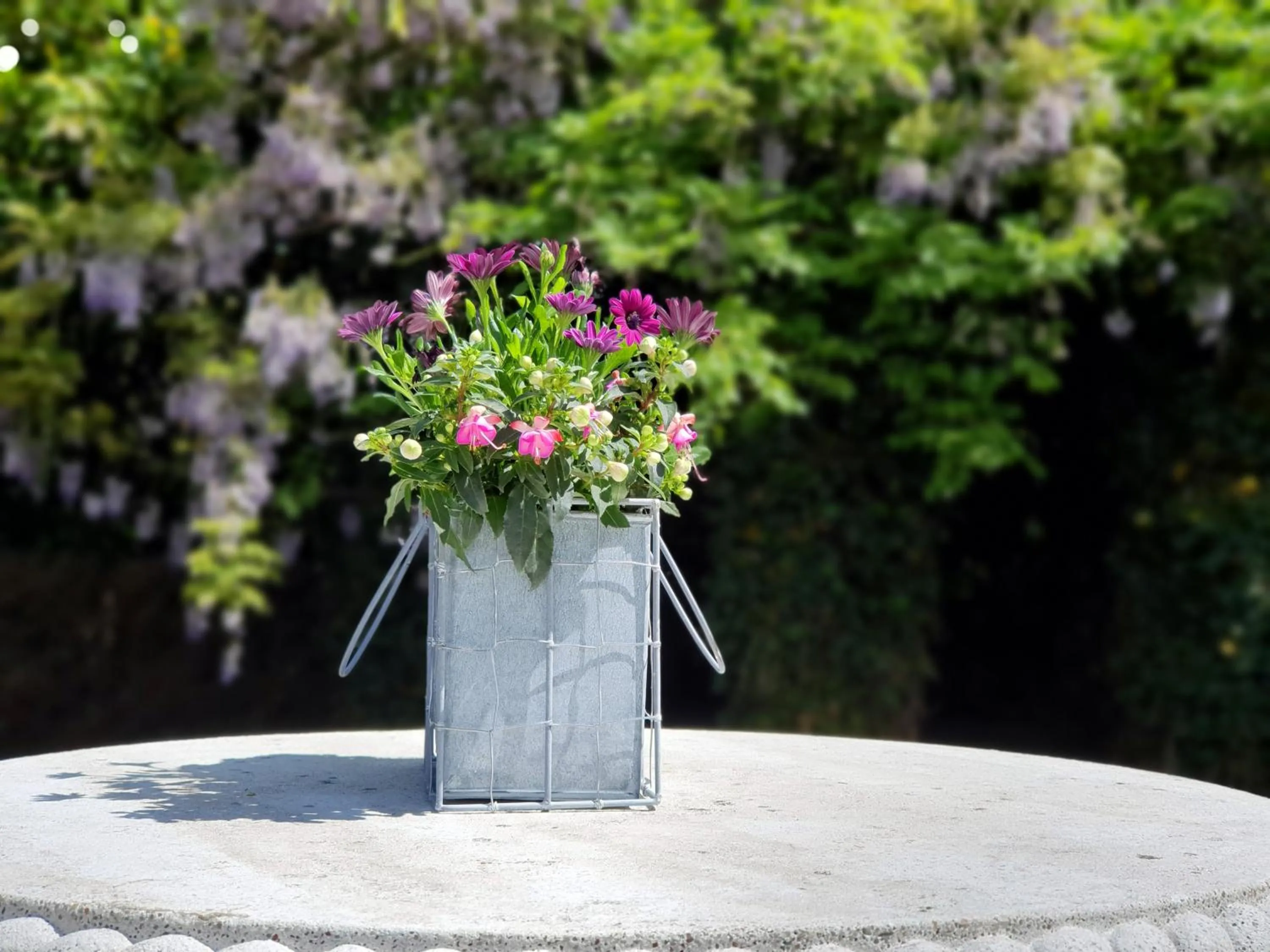 Property building in Bed & Breakfast Trouwborst