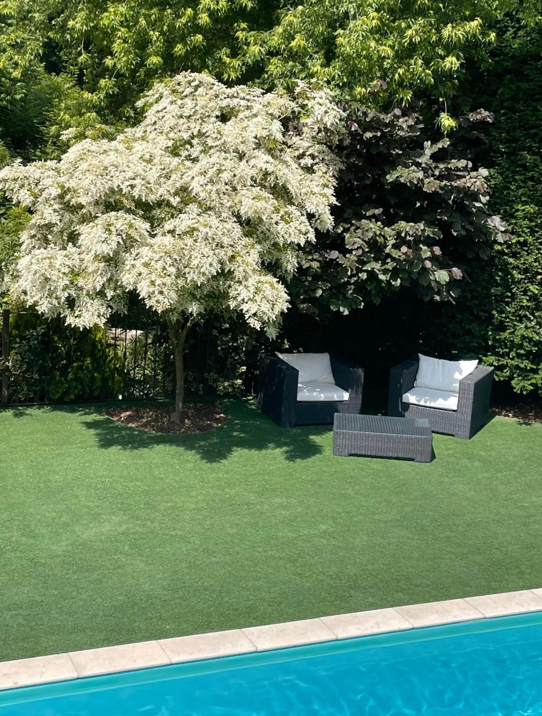Swimming pool in LE DOMAINE DE GORNETON