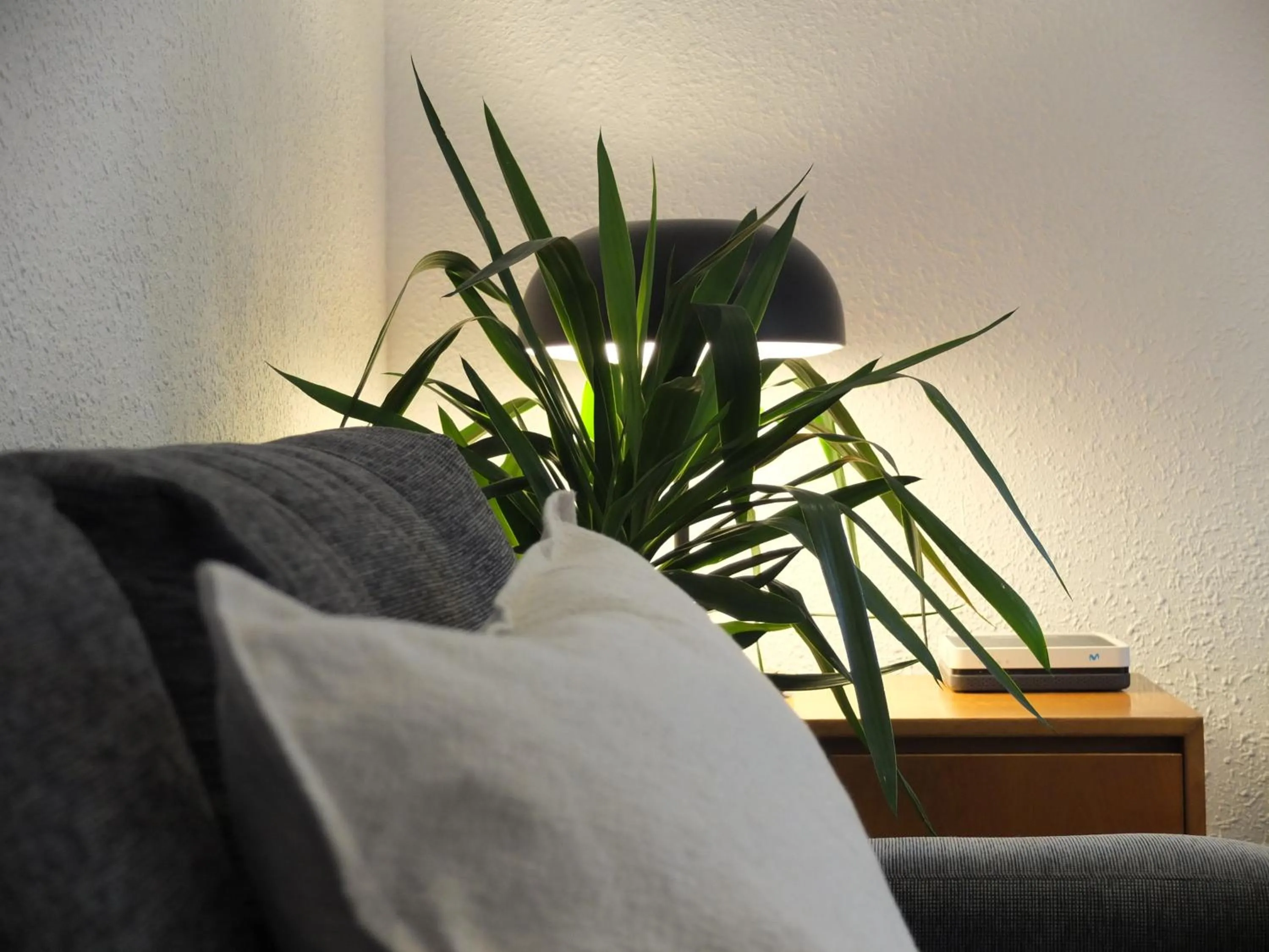 Entre Pinos P1 Beach Apartment