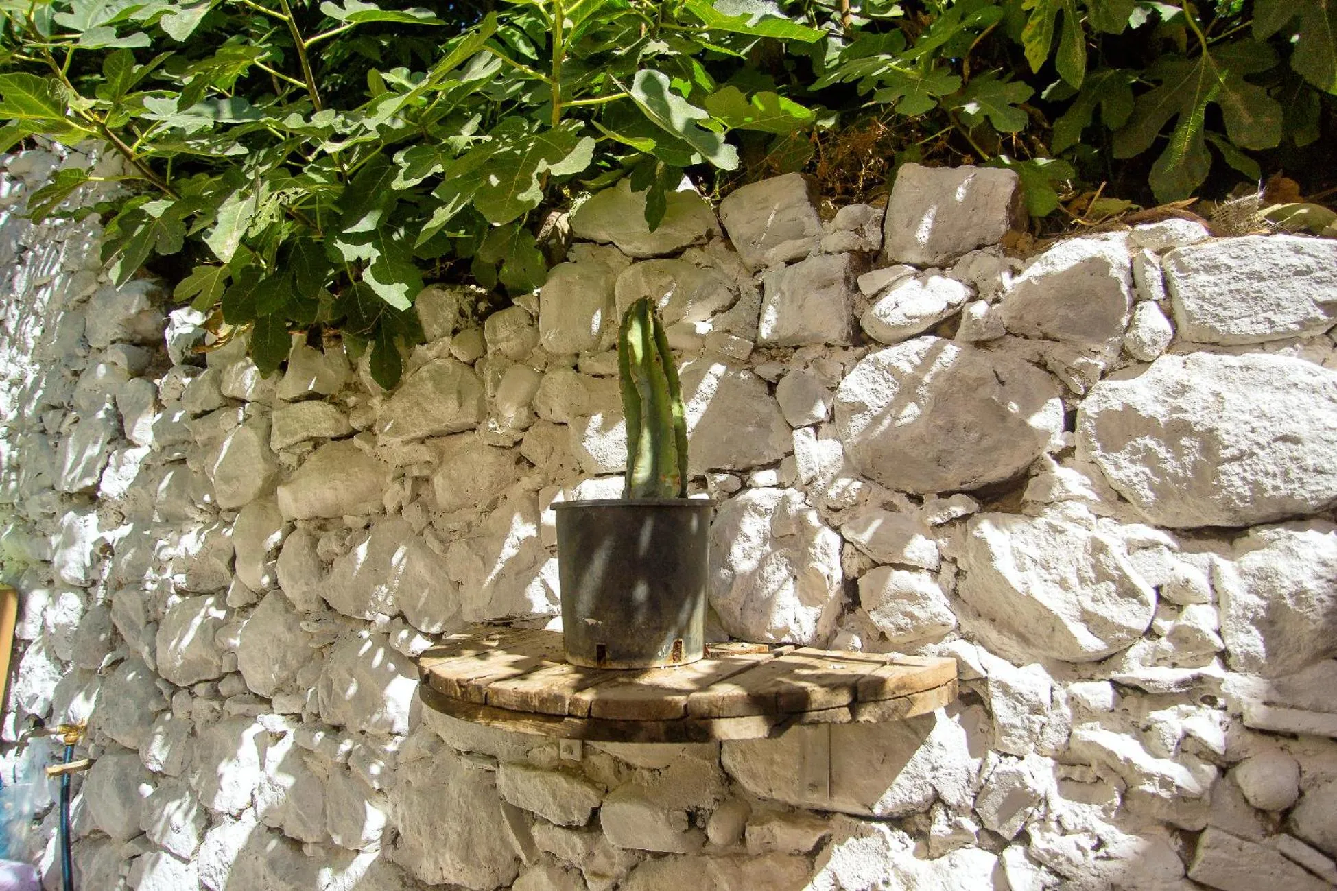 Garden view in Ci Thorno Hotel