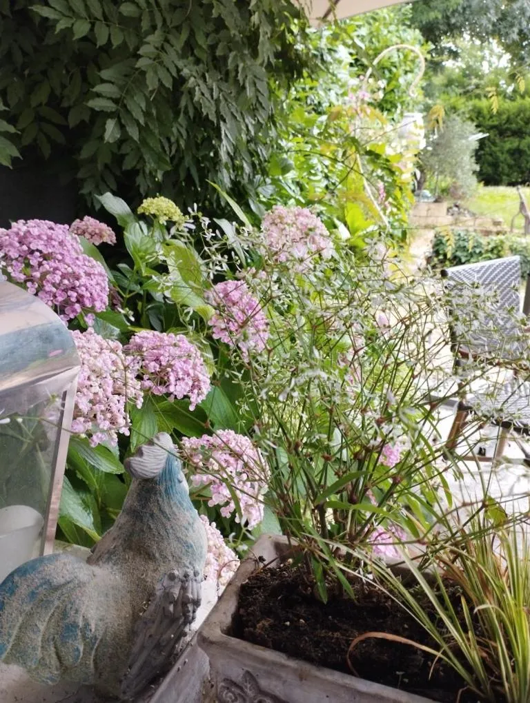 Au Cœur de Ménestérol Chambre Émotion