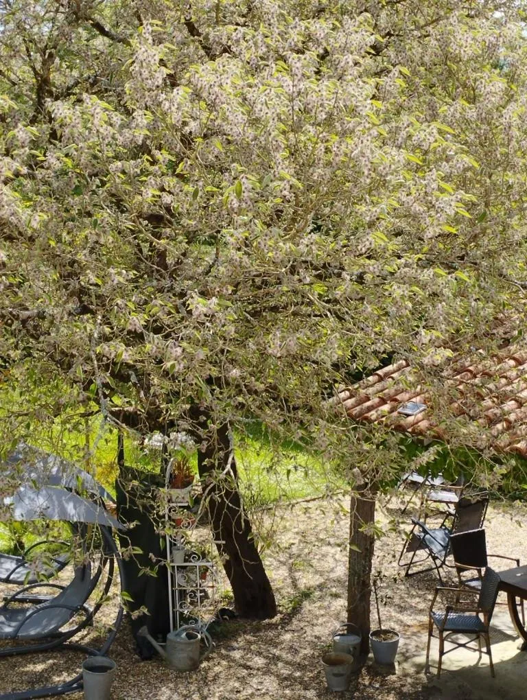 Au Cœur de Ménestérol Chambre Émotion