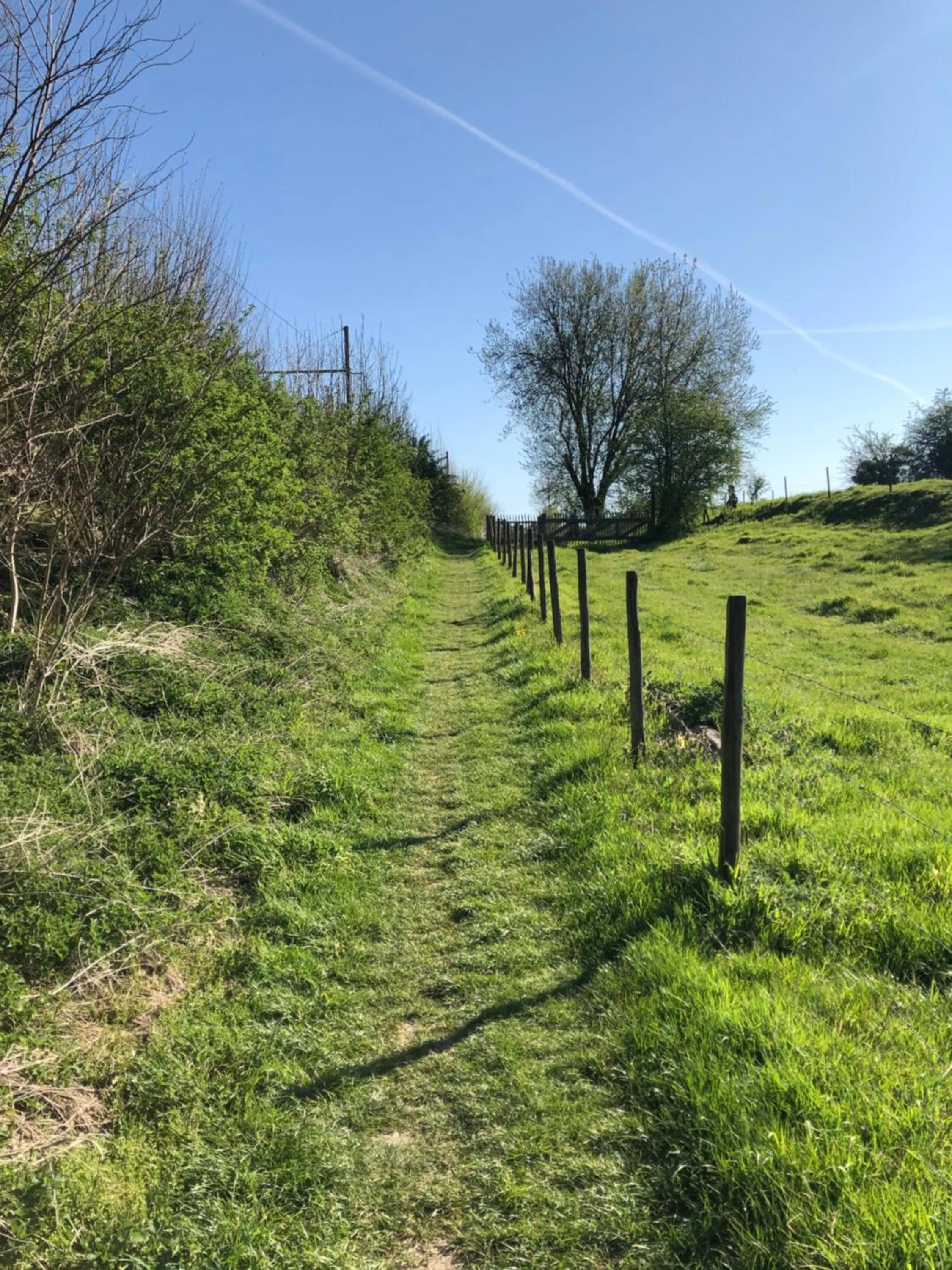 Day in Hof van Stayen