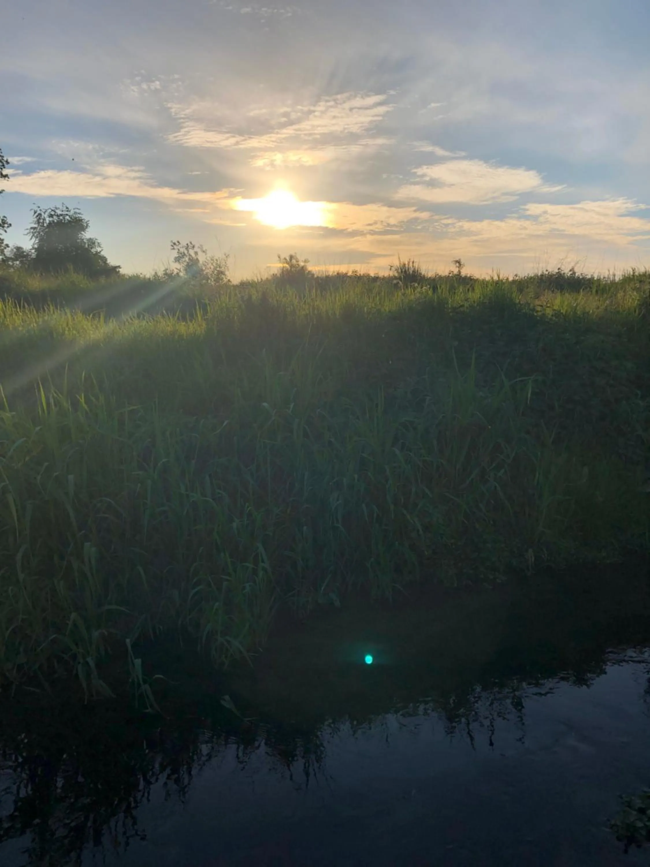 Day in Hof van Stayen