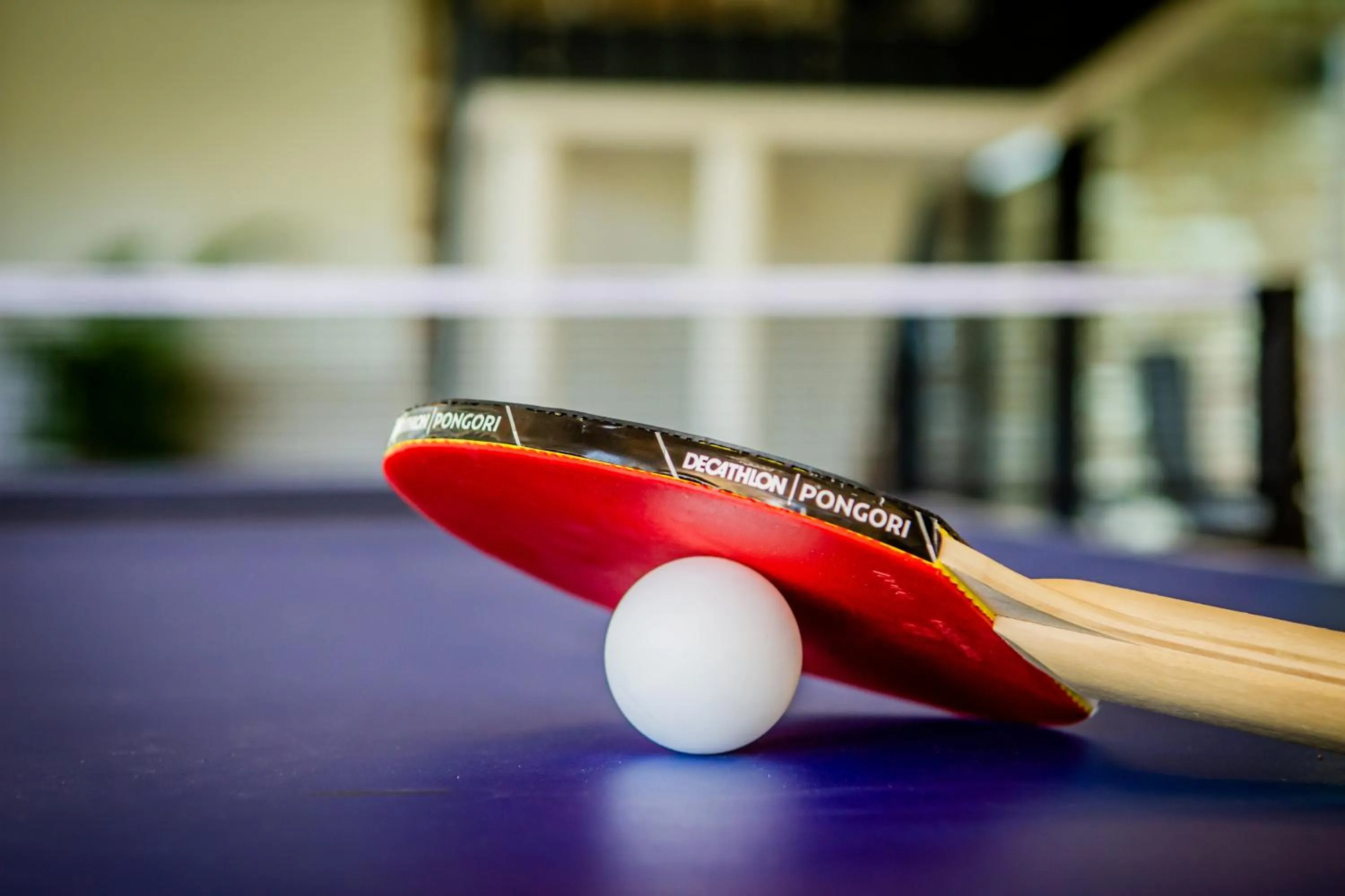 Billiard in Hof van Stayen