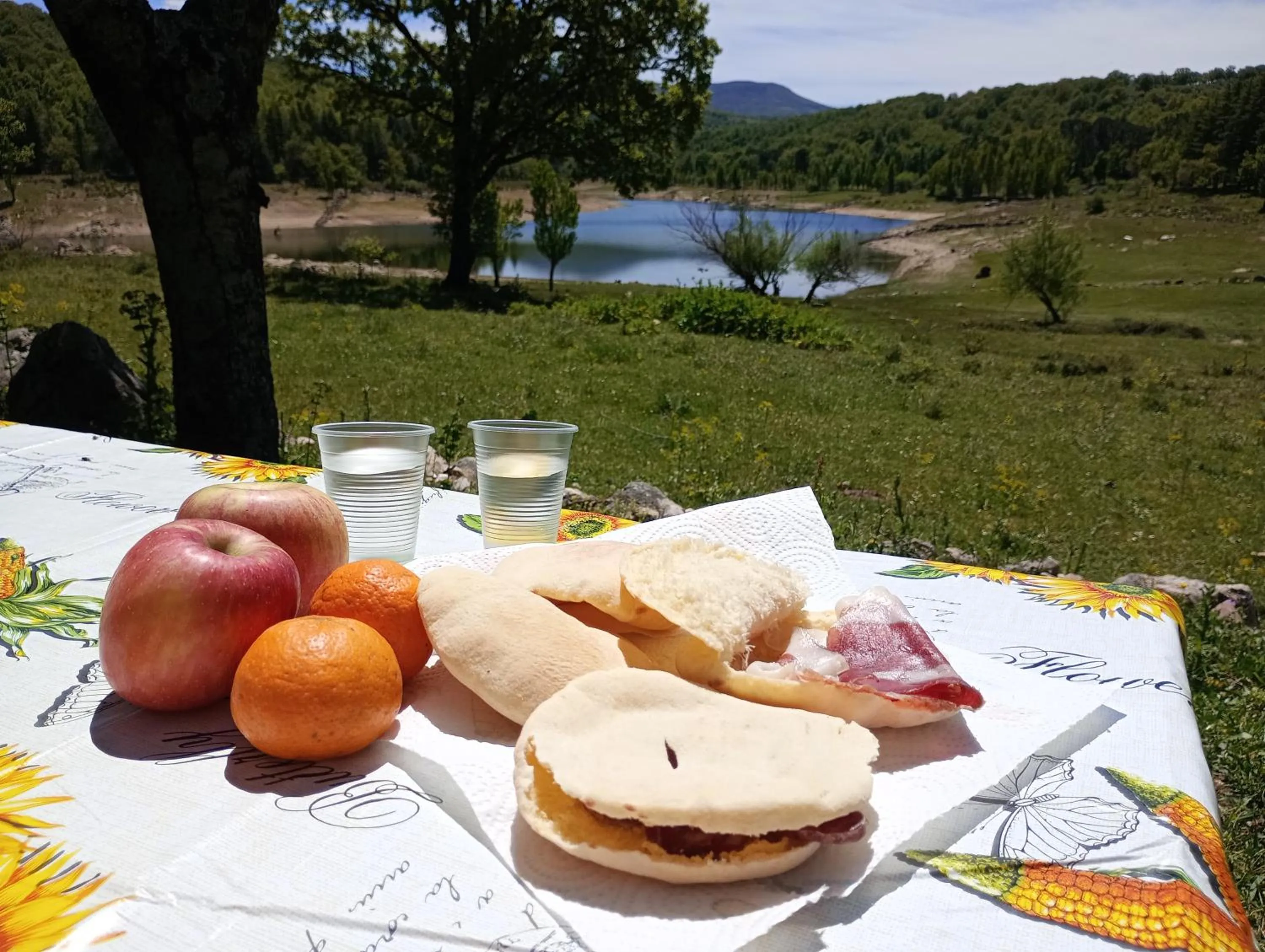 Lunch in B&B e Home Restaurant S'ispera Monolocale uso esclusivo